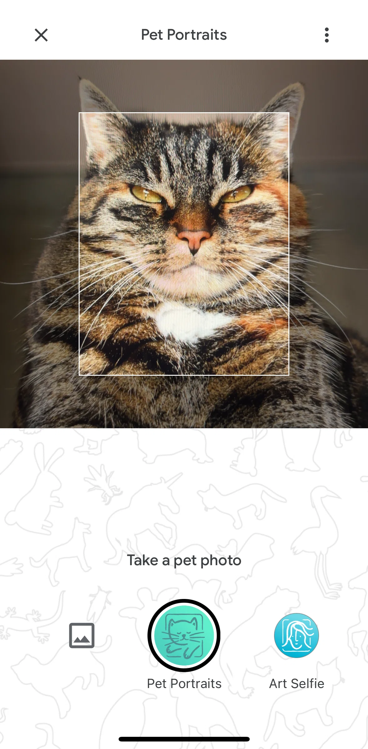 Google Arts & Culture Screen screen in the Switching to Art Selfie flow