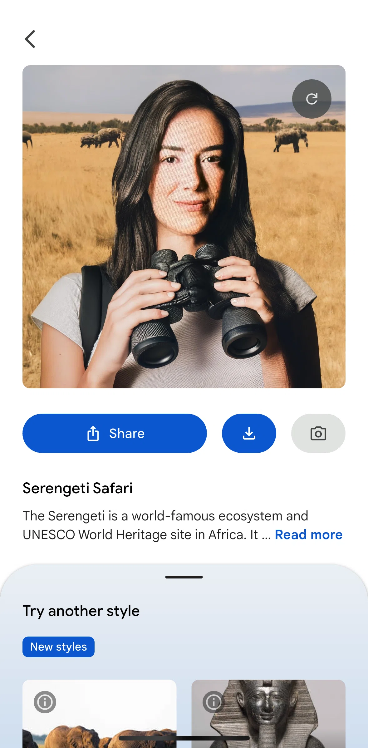 Google Arts & Culture Screen screen in the Trying another style flow