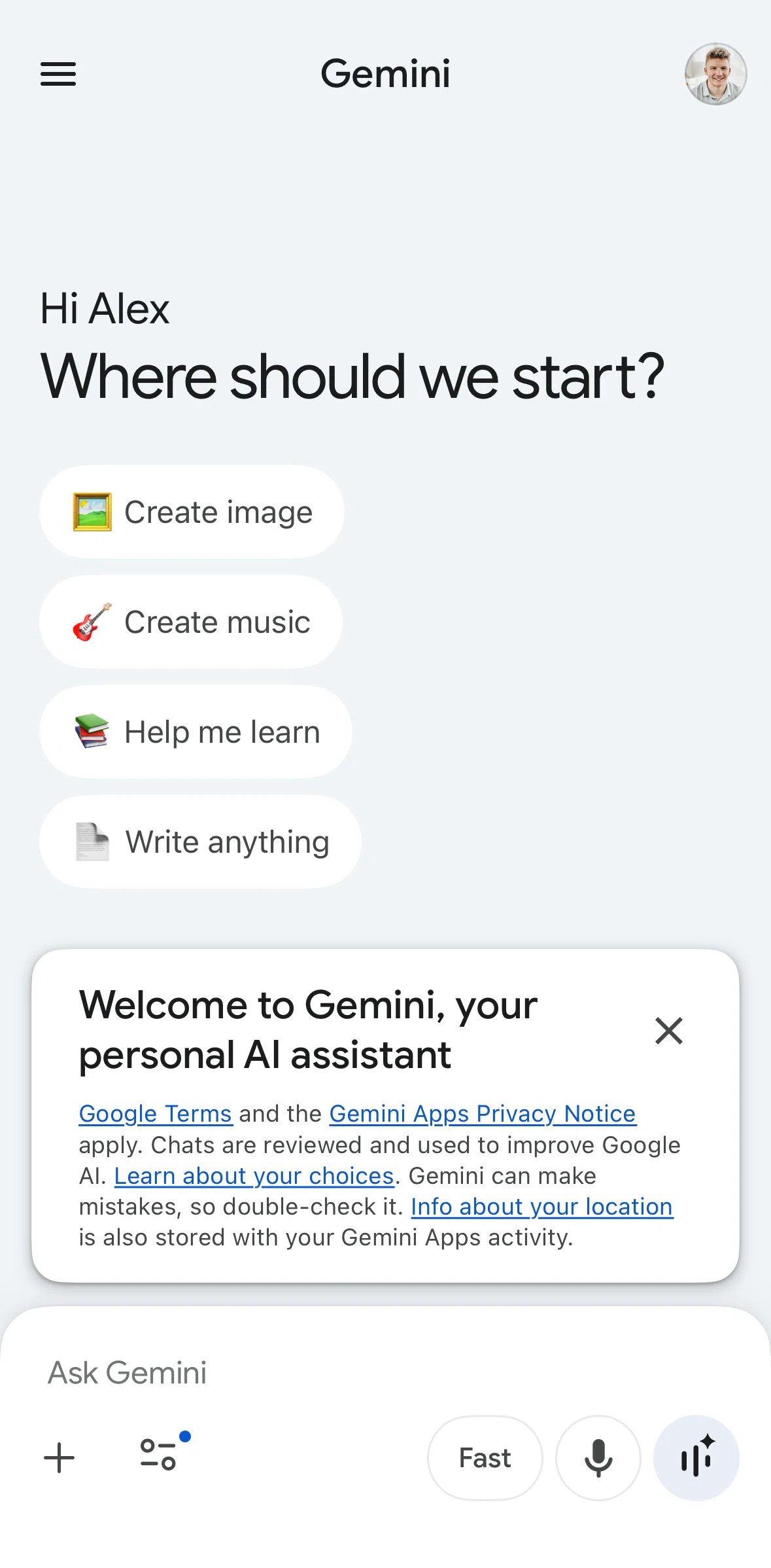 Google Gemini Screen screen in the Chat flow