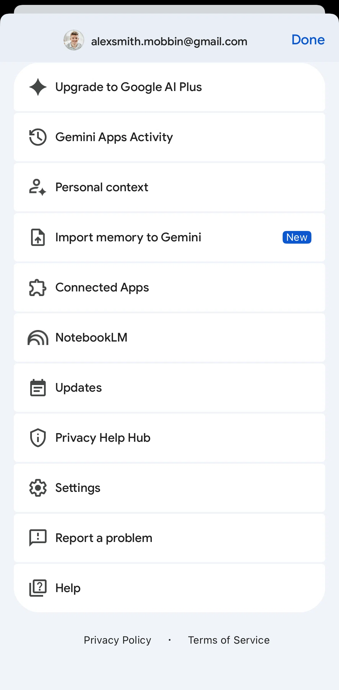 Google Gemini Screen screen in the Settings flow