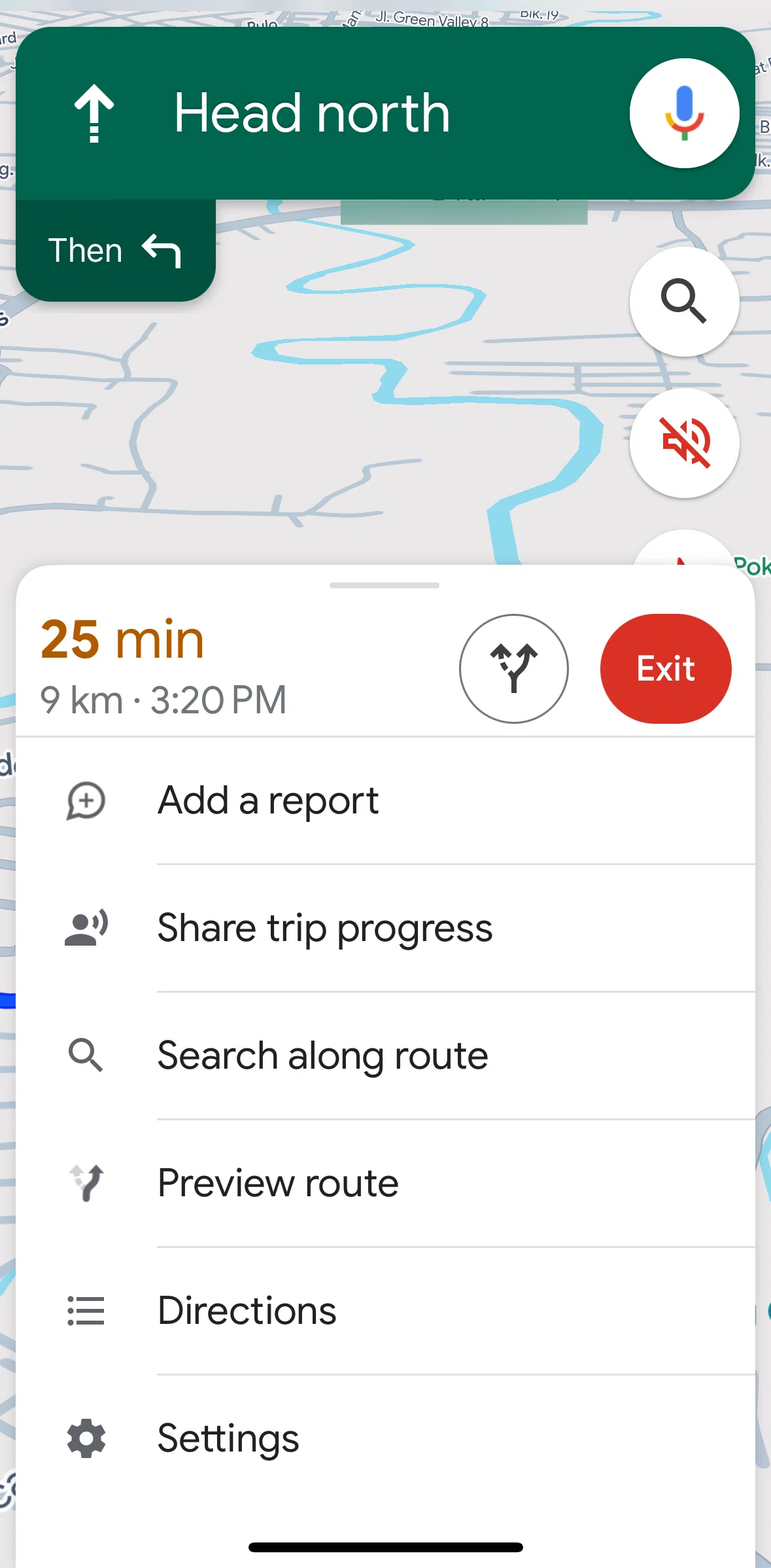 Google Maps Screen screen in the Navigation settings flow