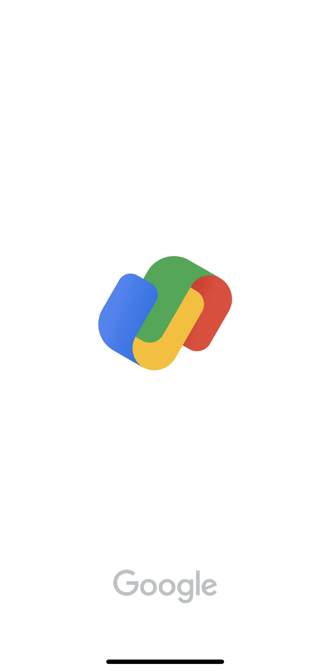 Google Pay Screen screen in the Logging in flow