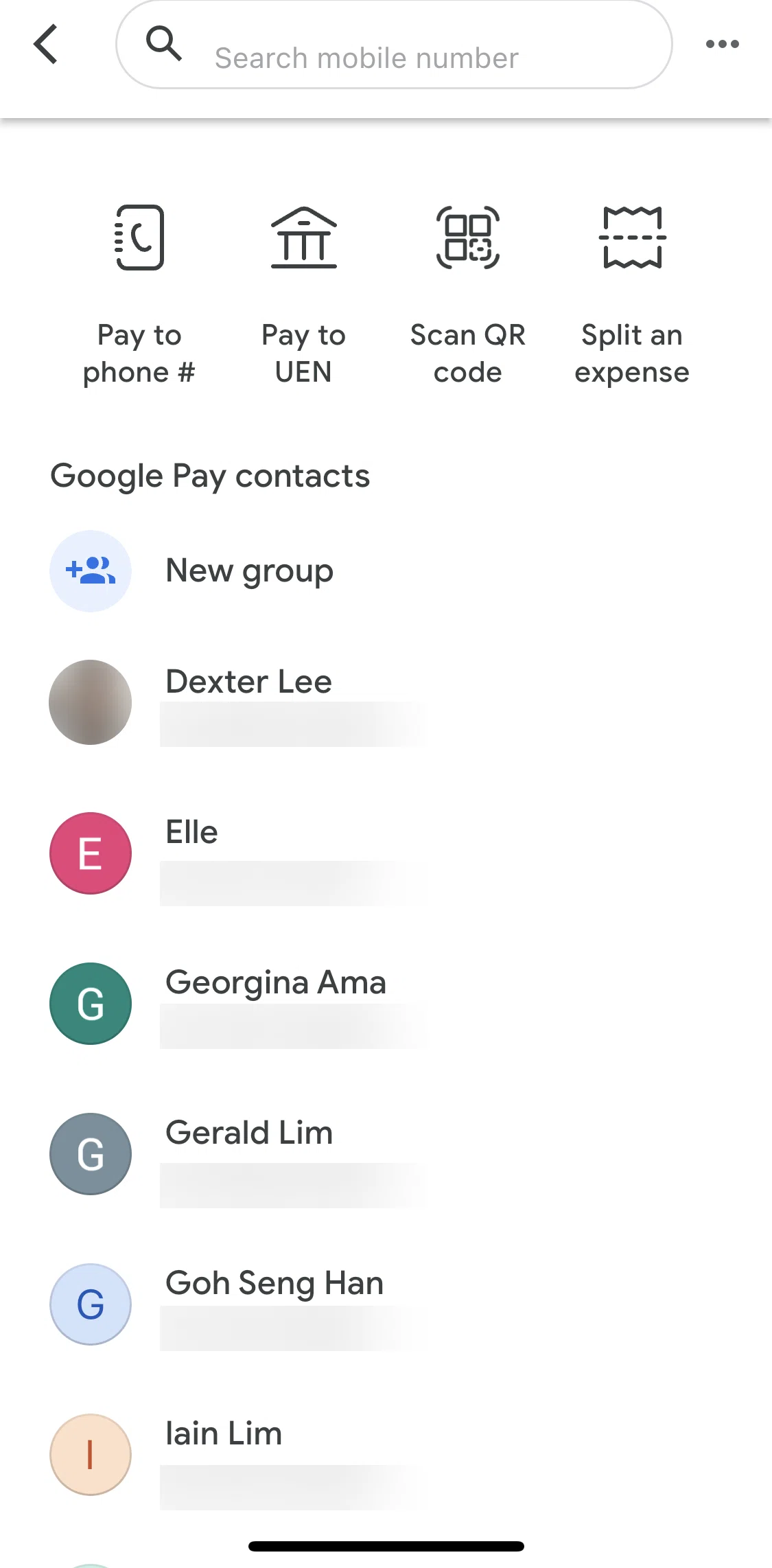 Google Pay Screen screen in the Requesting to split an expense flow