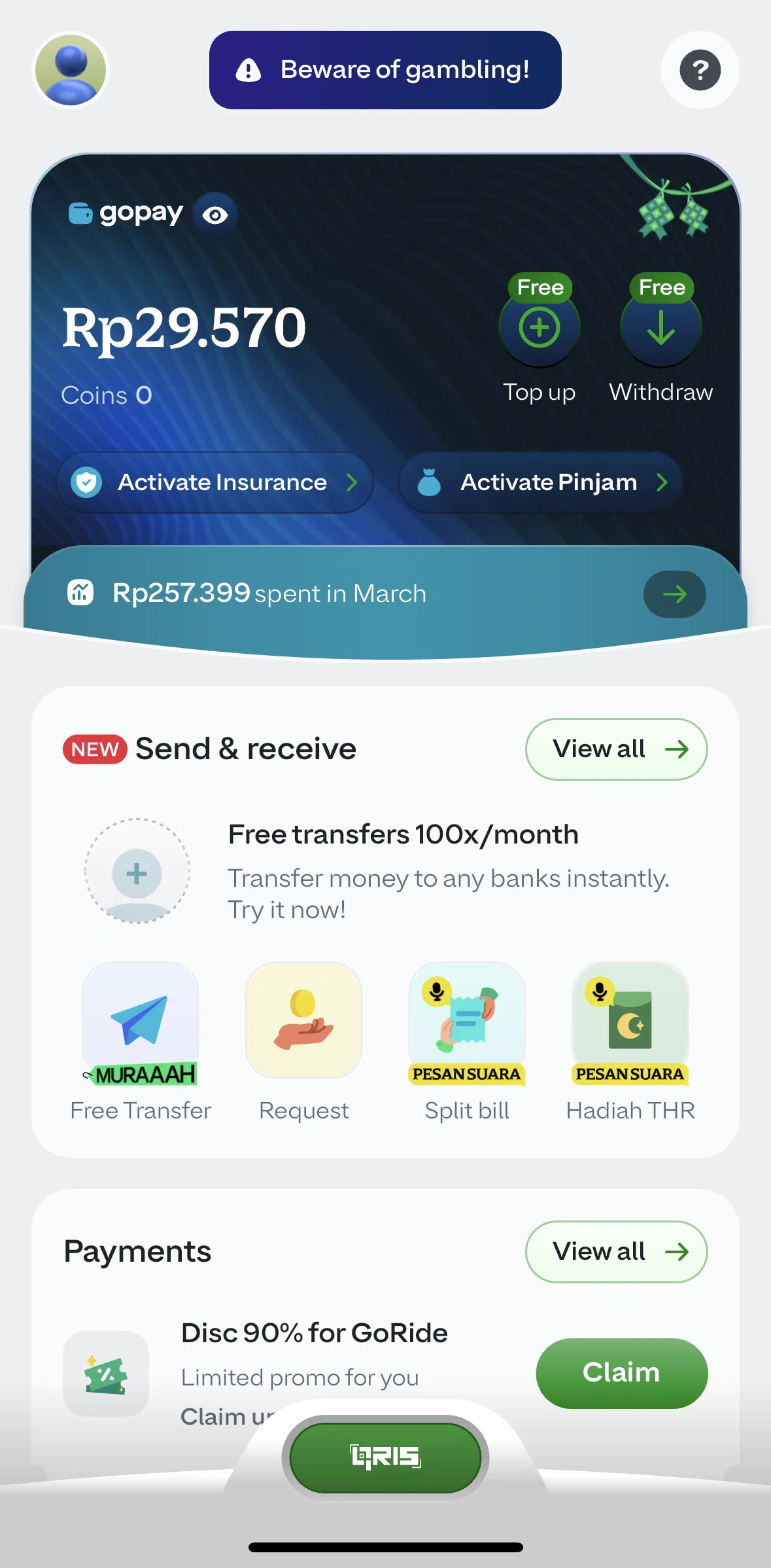 GoPay Screen screen in the Request flow