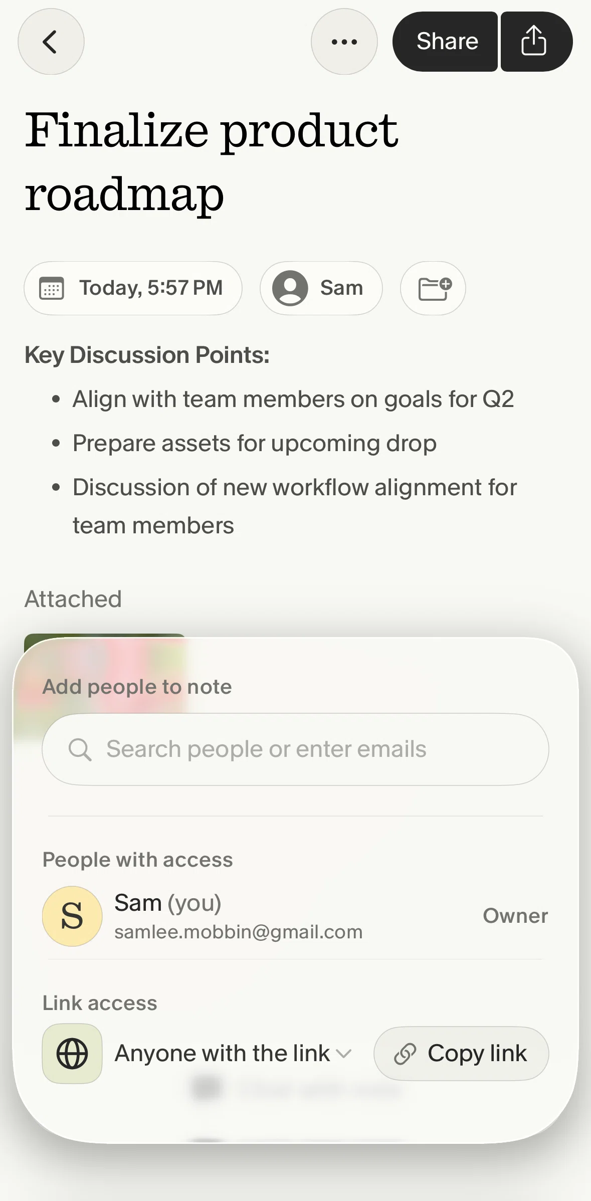 Granola Screen screen in the Changing access flow