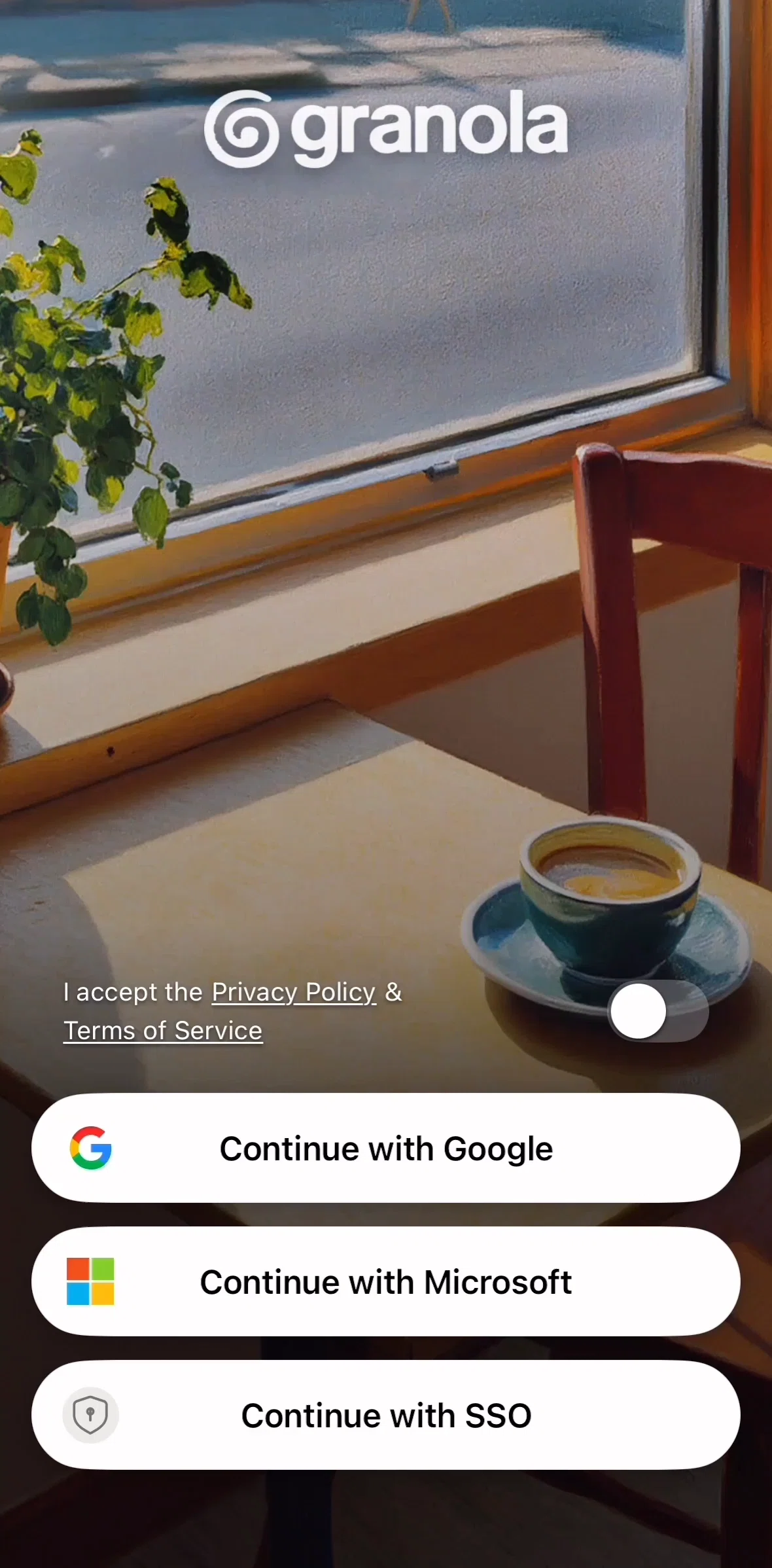 Granola Screen screen in the Onboarding flow