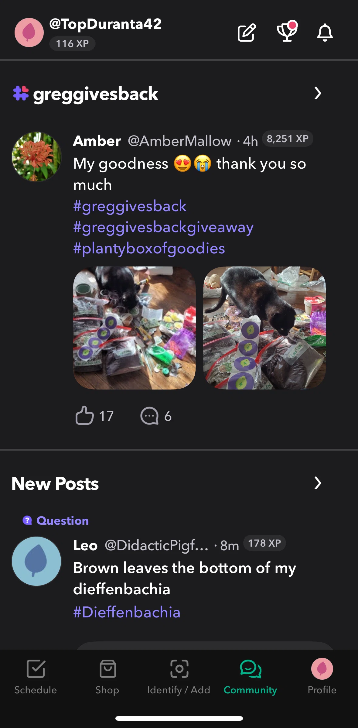 Greg Screen screen in the Hashtag detail flow