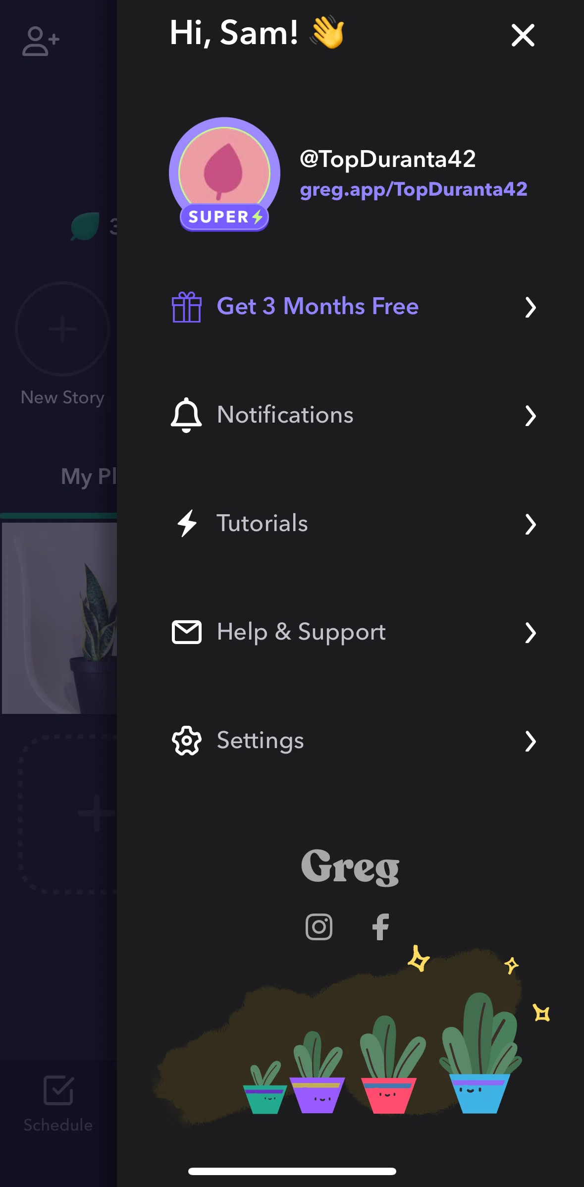 Greg Screen screen in the Settings flow