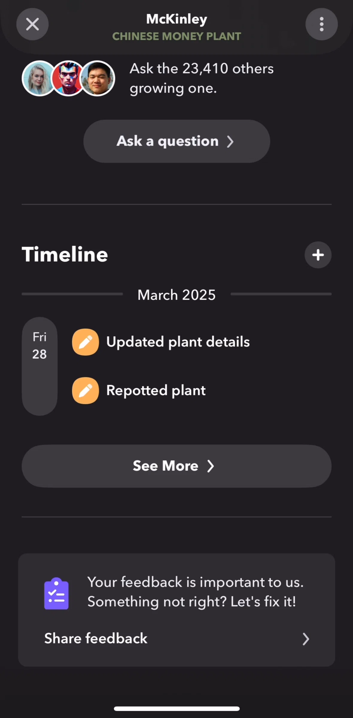 Greg Screen screen in the Timeline flow
