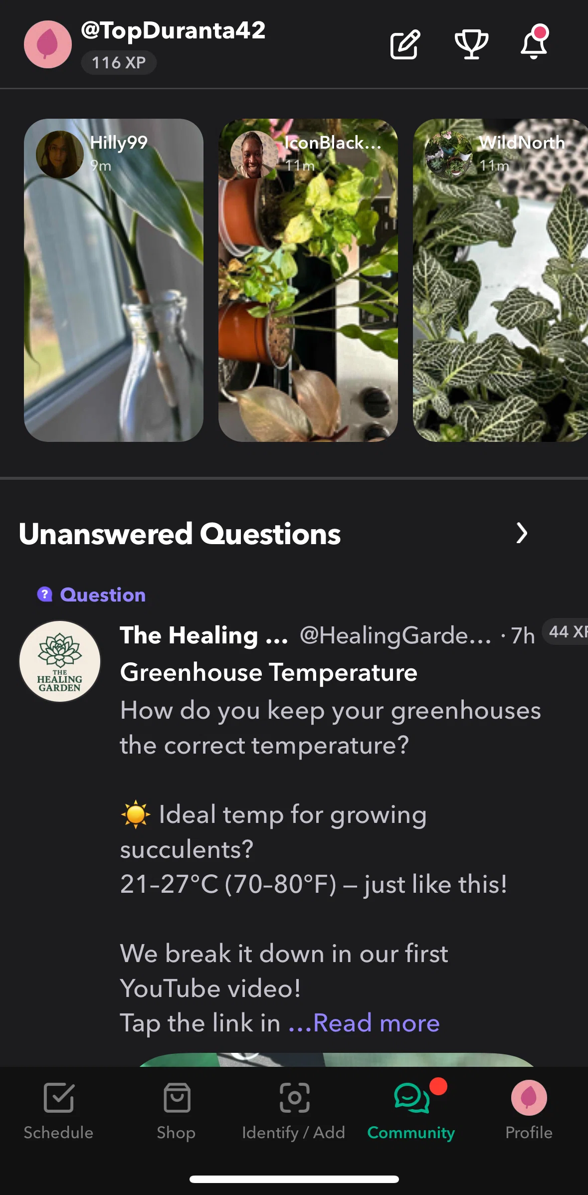 Greg Screen screen in the View story flow