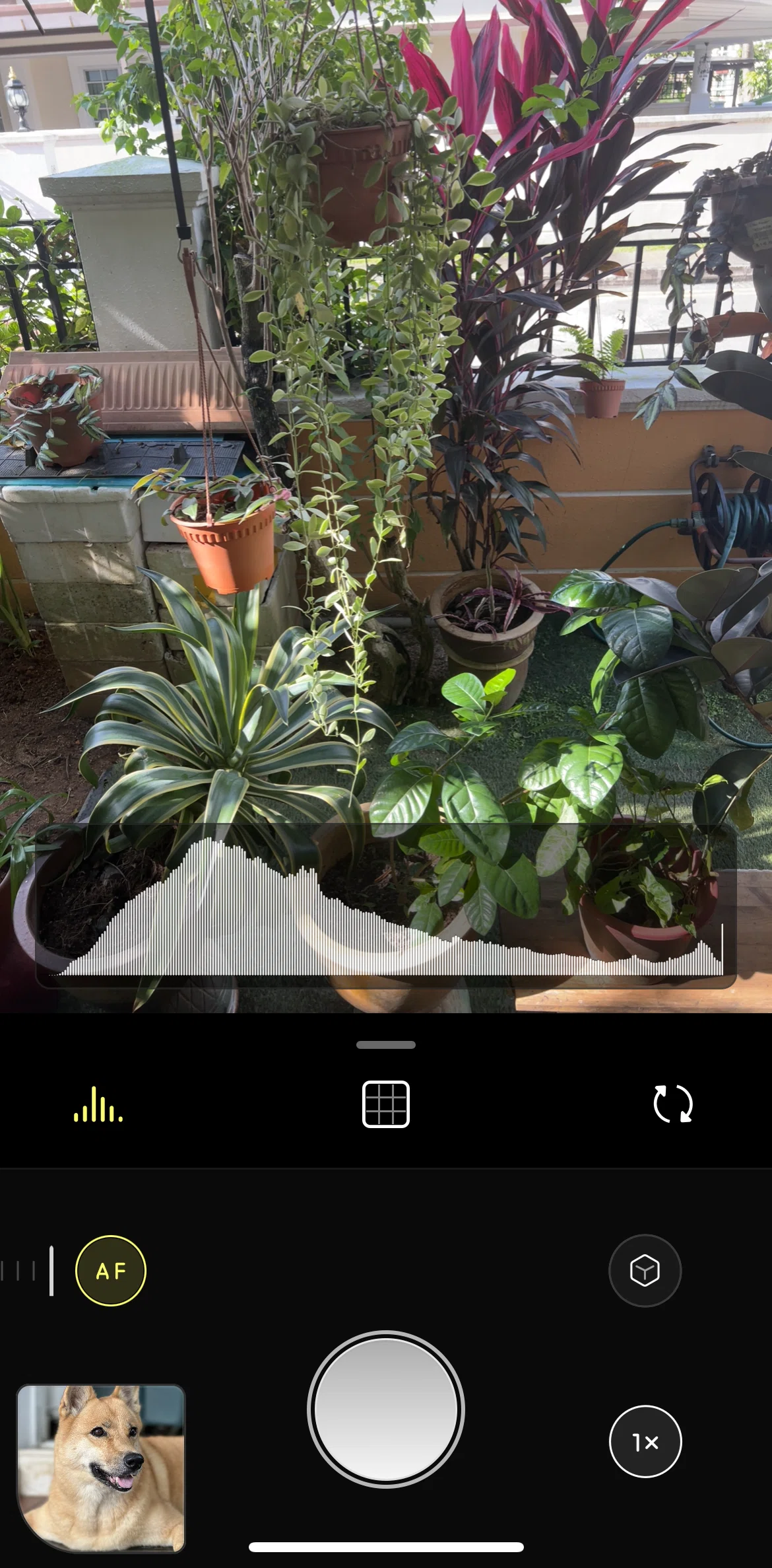 Halide Mark III Screen screen in the Depth mode flow