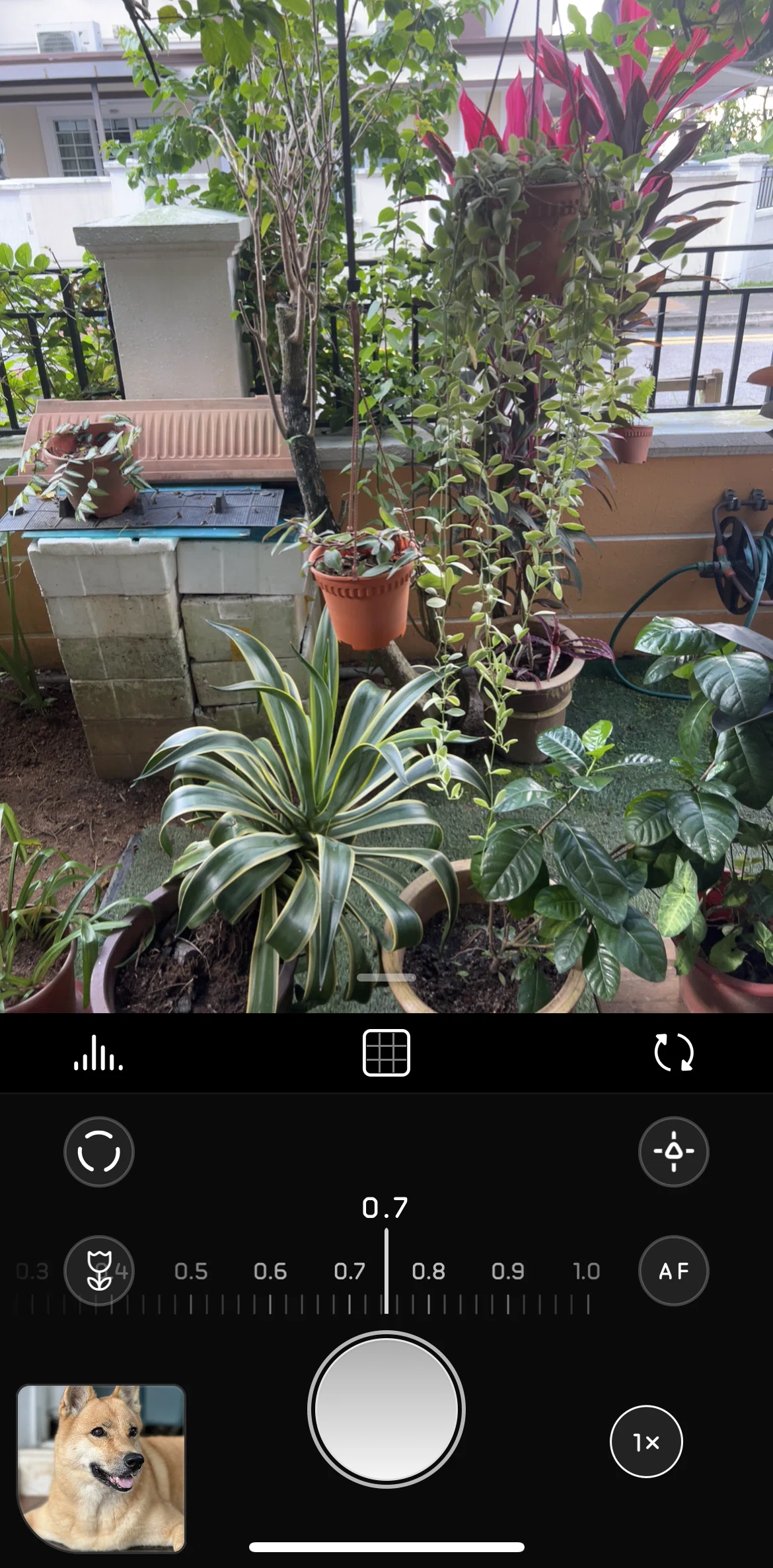 Halide Mark III Screen screen in the Macro mode flow