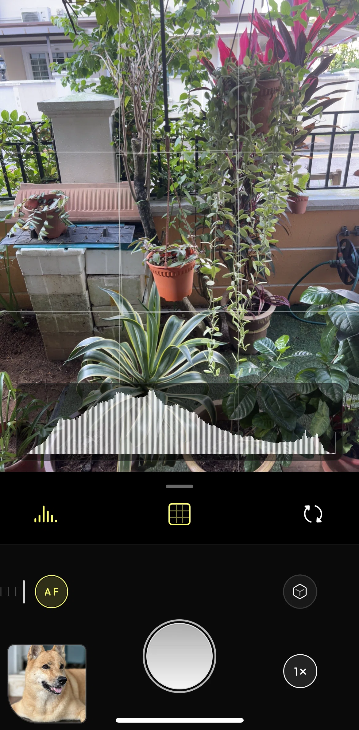 Halide Mark III Screen screen in the Reviewer flow