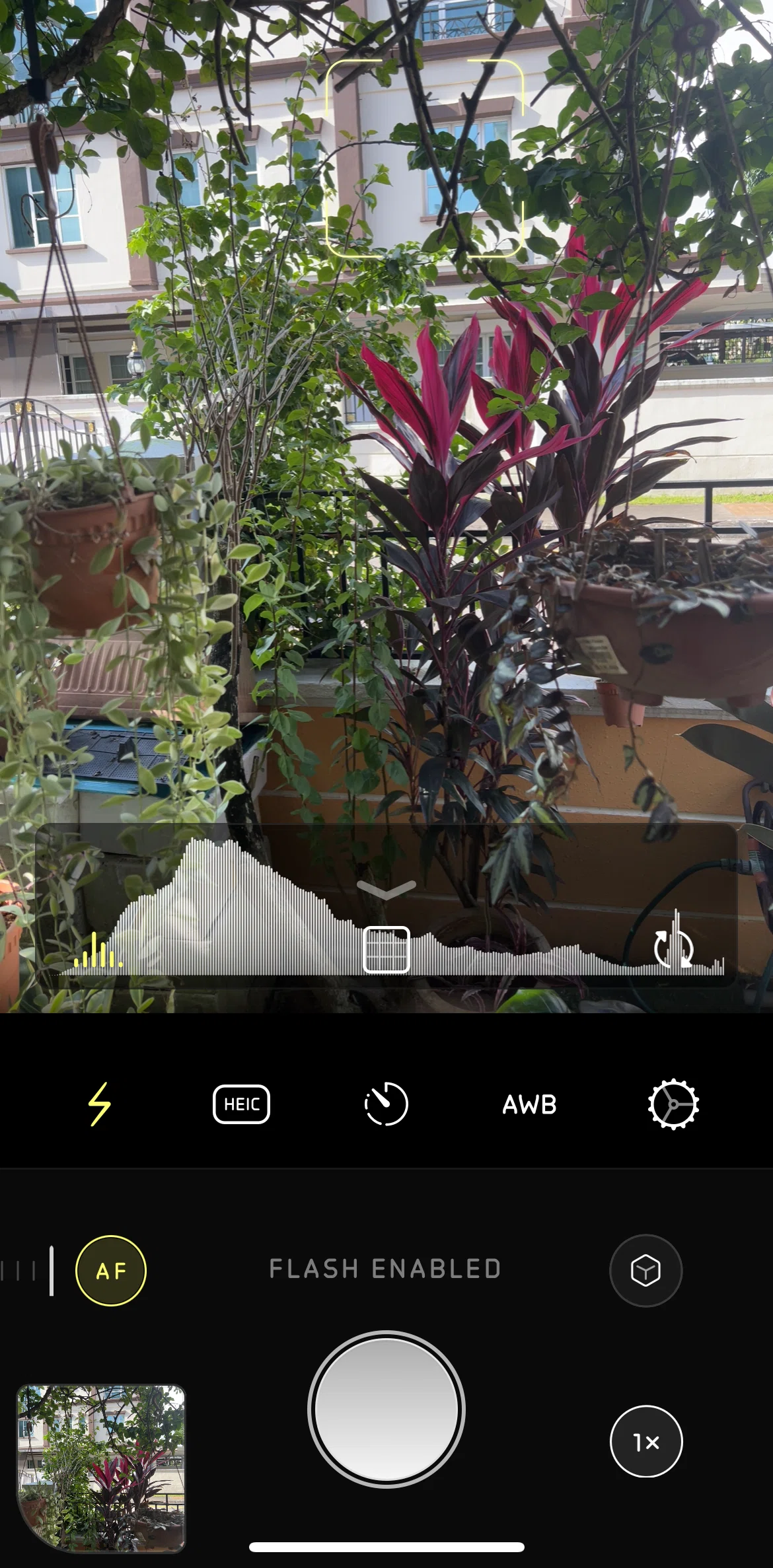 Halide Mark III Screen screen in the Settings flow