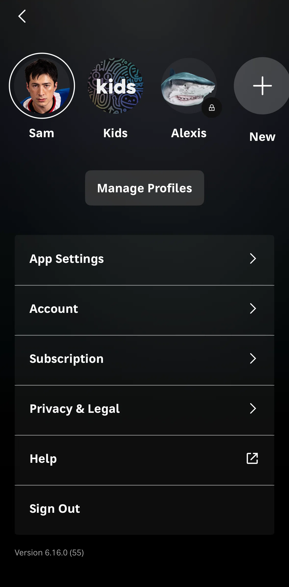 HBO Max Screen screen in the Logging out flow