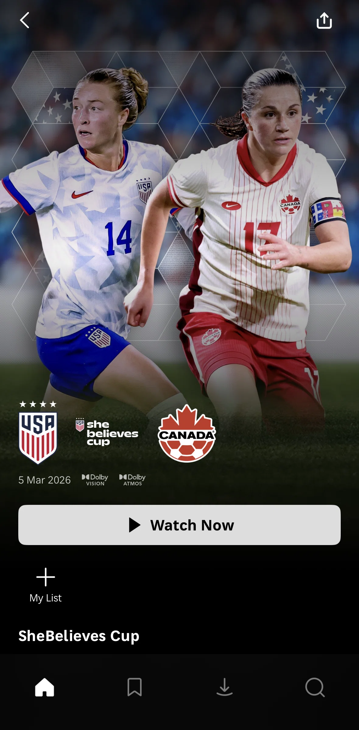 HBO Max Screen screen in the Watching a replay flow