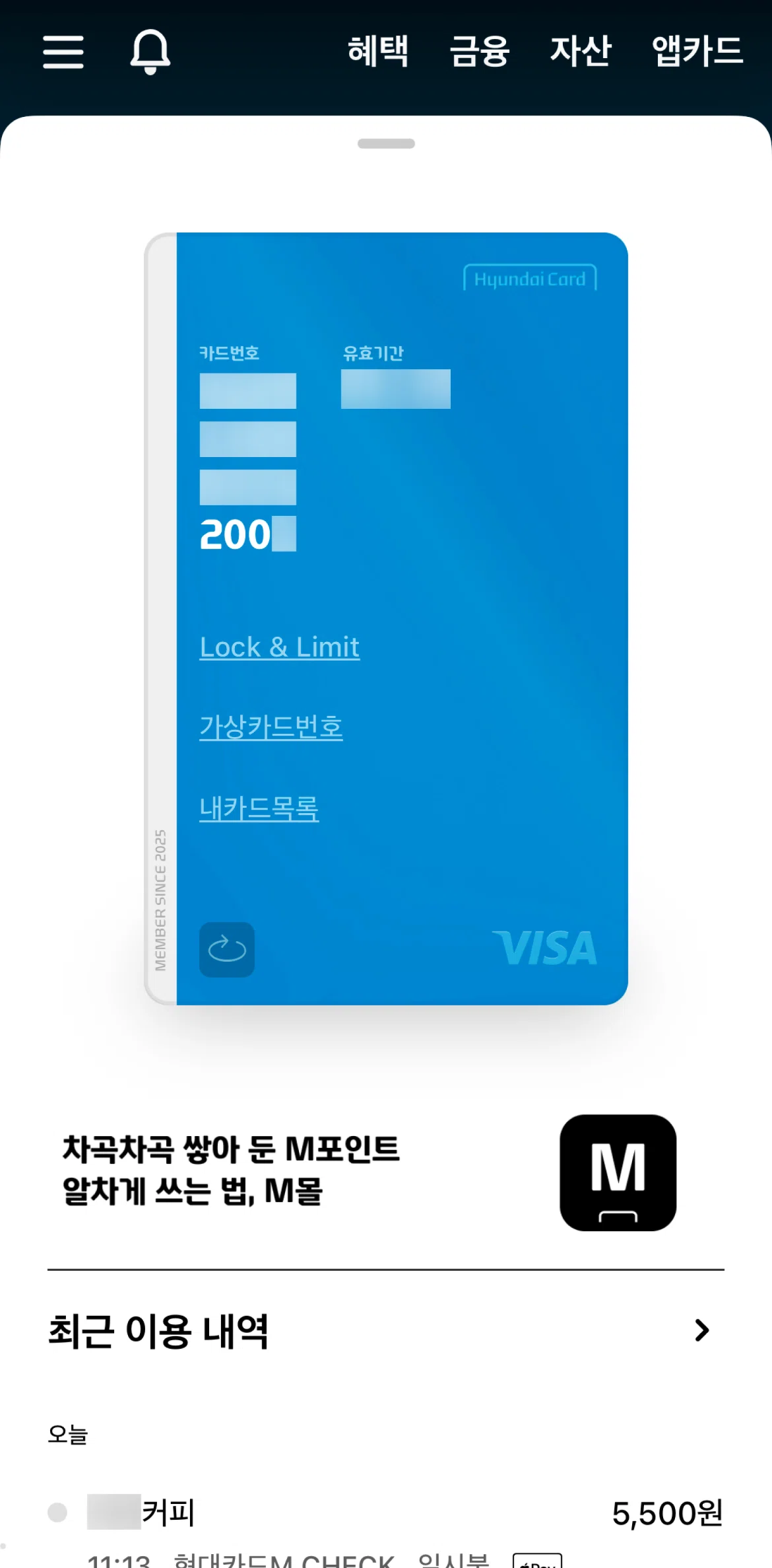 Hyundai Card Screen screen in the Card list flow