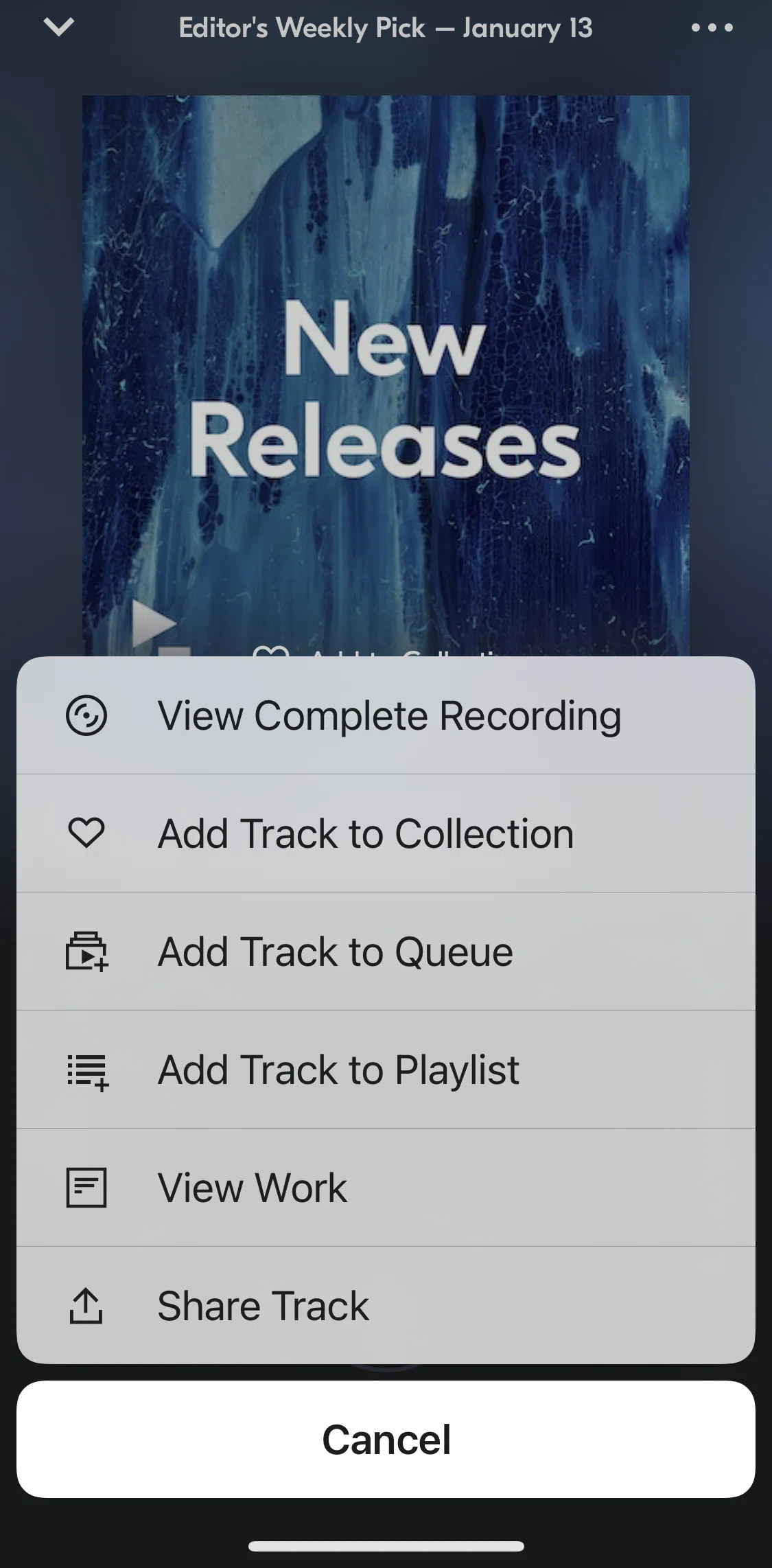 IDAGIO Screen screen in the View work flow
