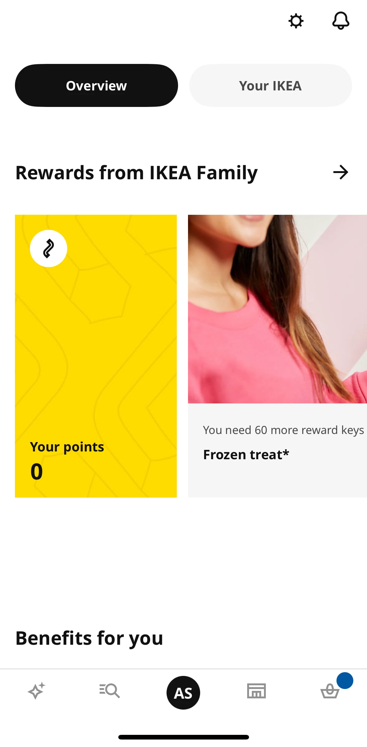 Ikea Screen screen in the Points flow