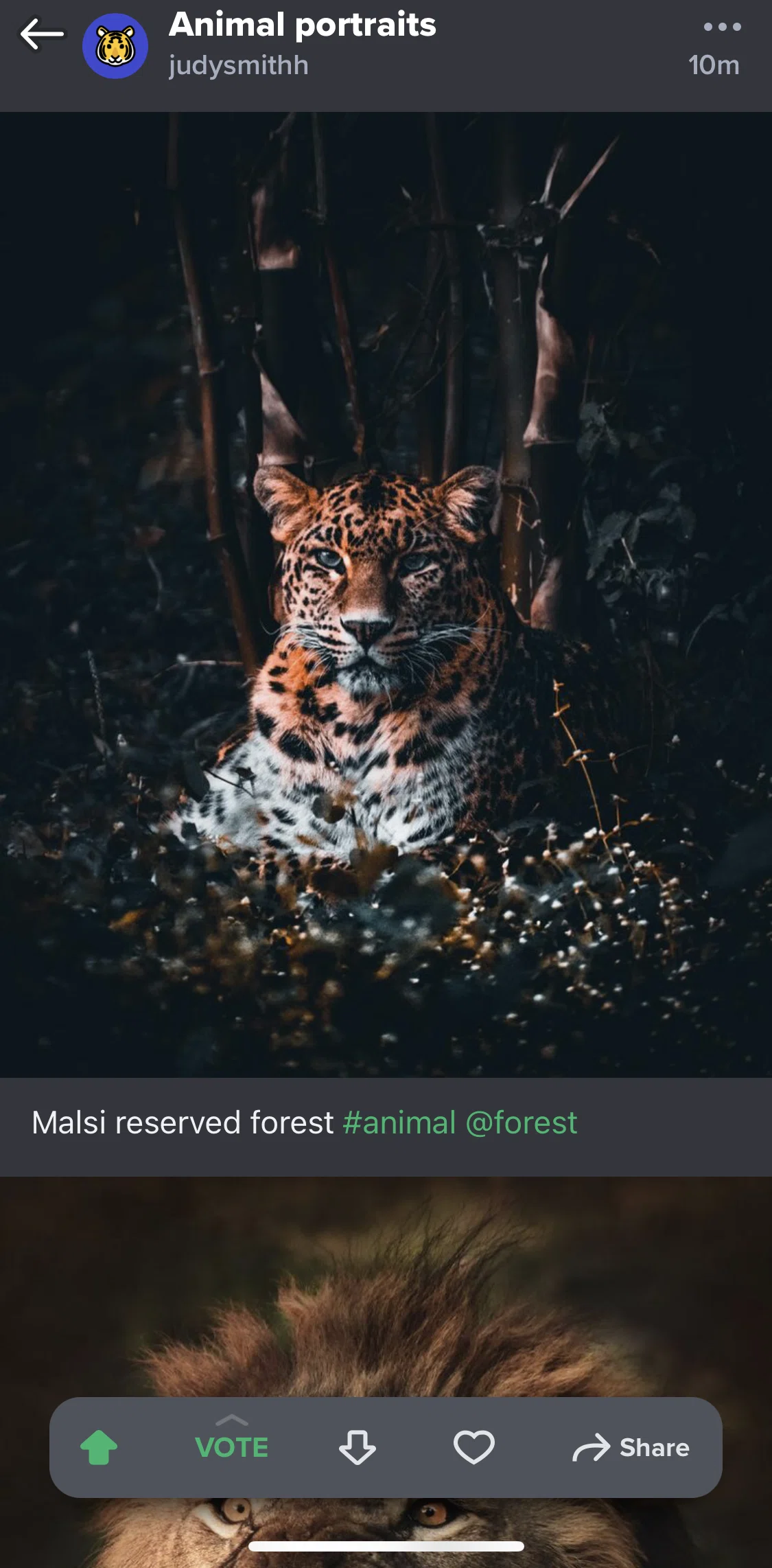 Imgur Screen screen in the Deleting a post flow
