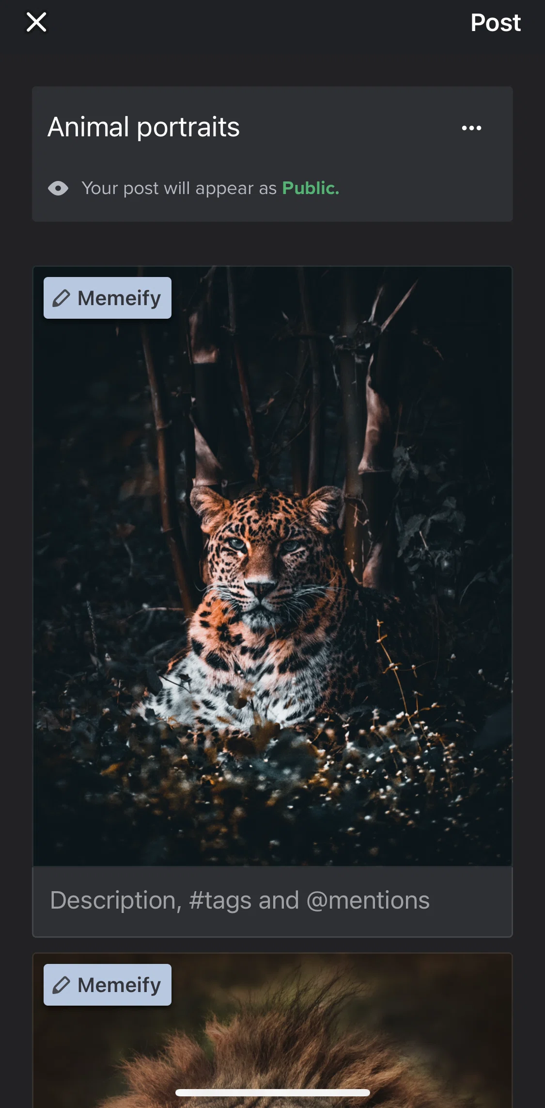 Imgur Screen screen in the Rearranging images flow