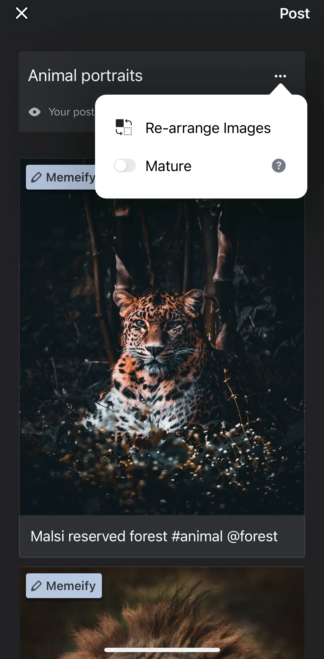 Imgur Screen screen in the Setting post as mature content flow