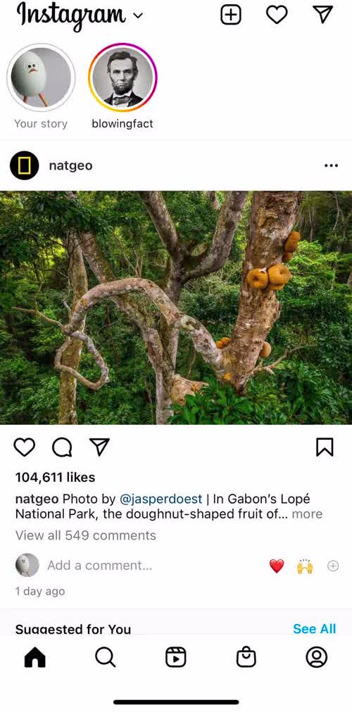 Instagram Home screen in the Discovering Content flow