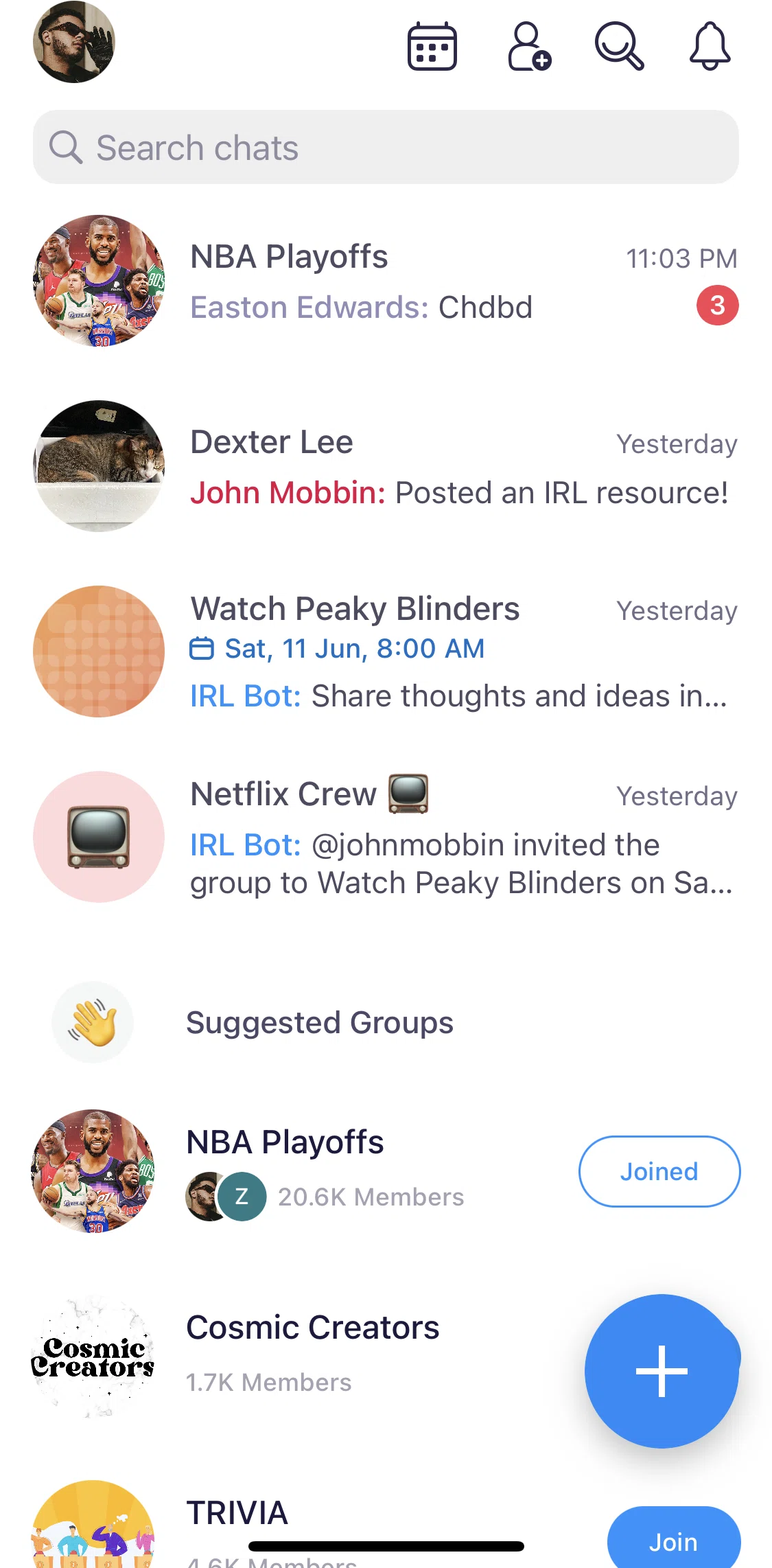 Irl Screen screen in the Muting a group flow