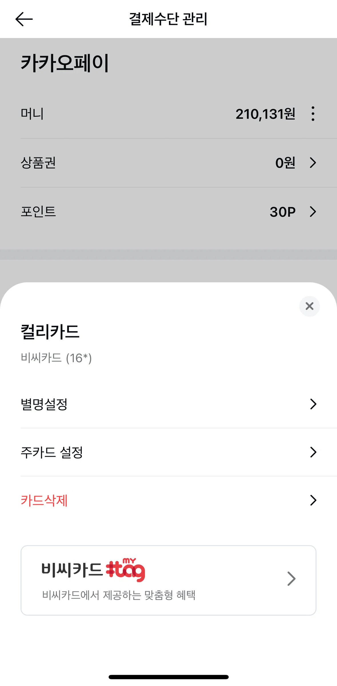Kakao Pay Screen screen in the Change main card flow
