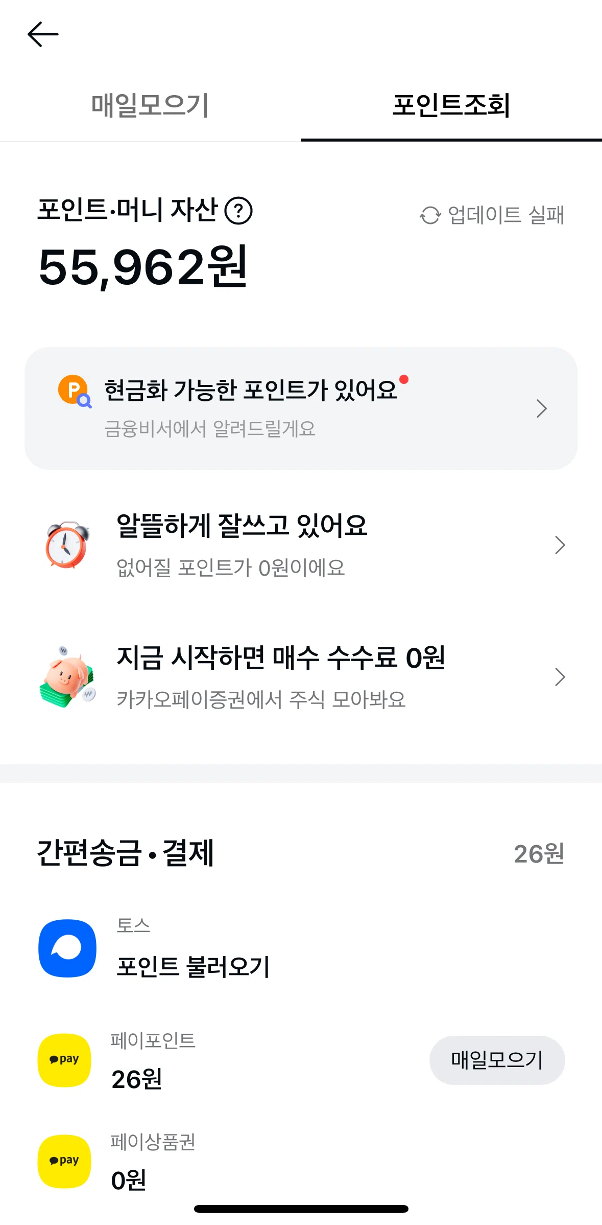 Kakao Pay Screen screen in the Chat with points support flow