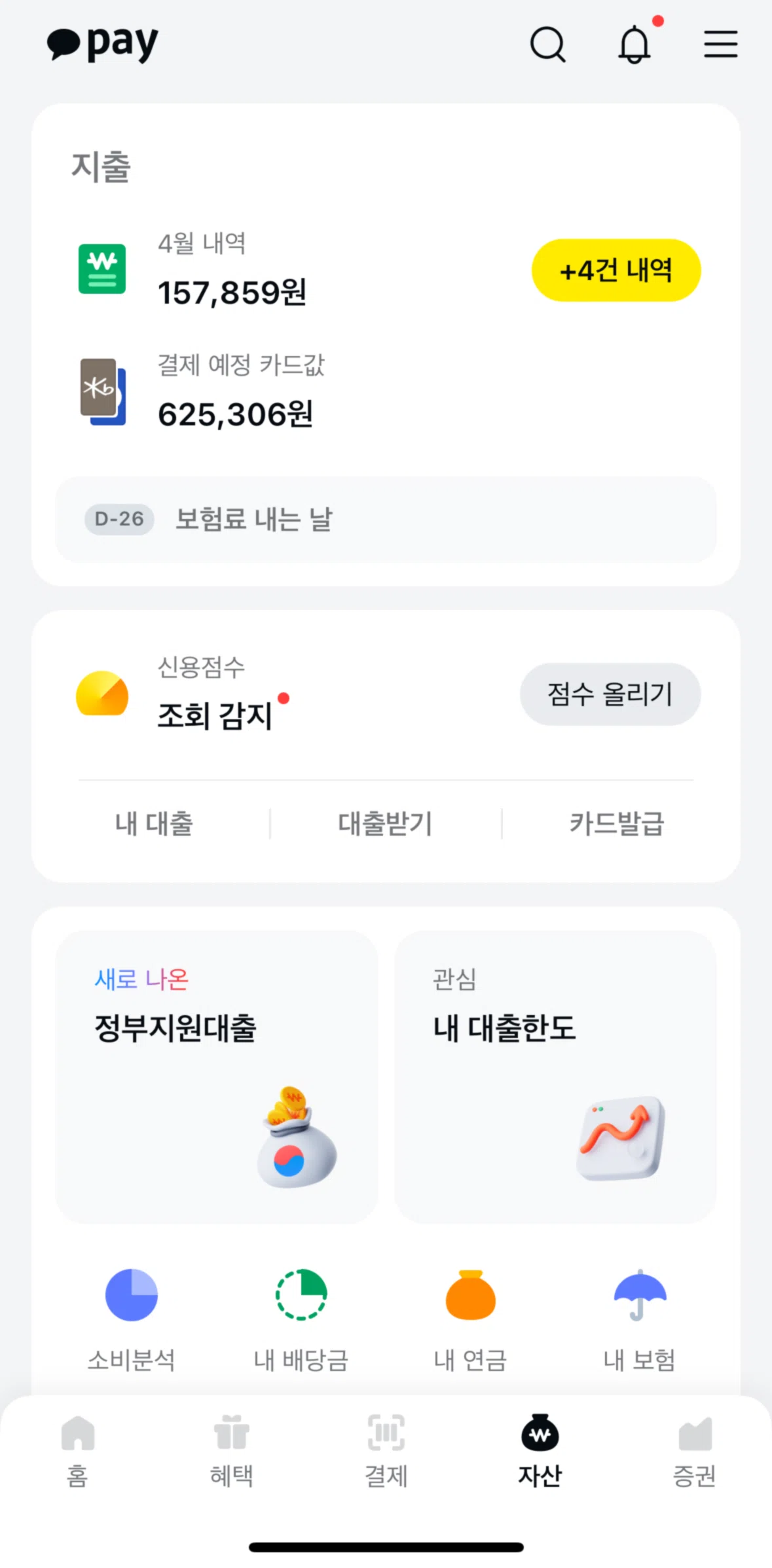 Kakao Pay Screen screen in the My loan flow