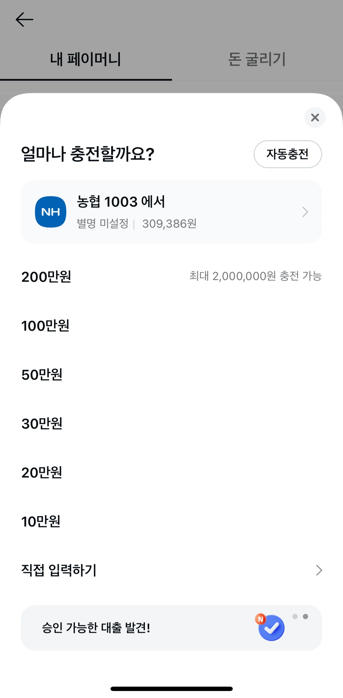 Kakao Pay Screen screen in the Setting up auto payments flow