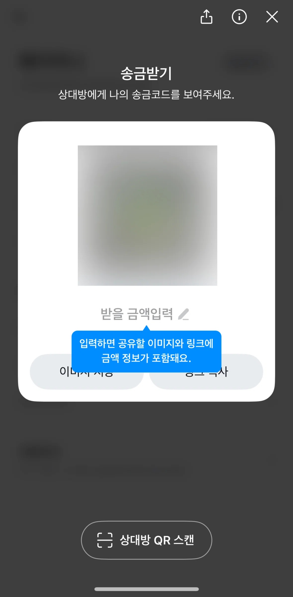 Kakao Pay Screen screen in the Share QR code flow