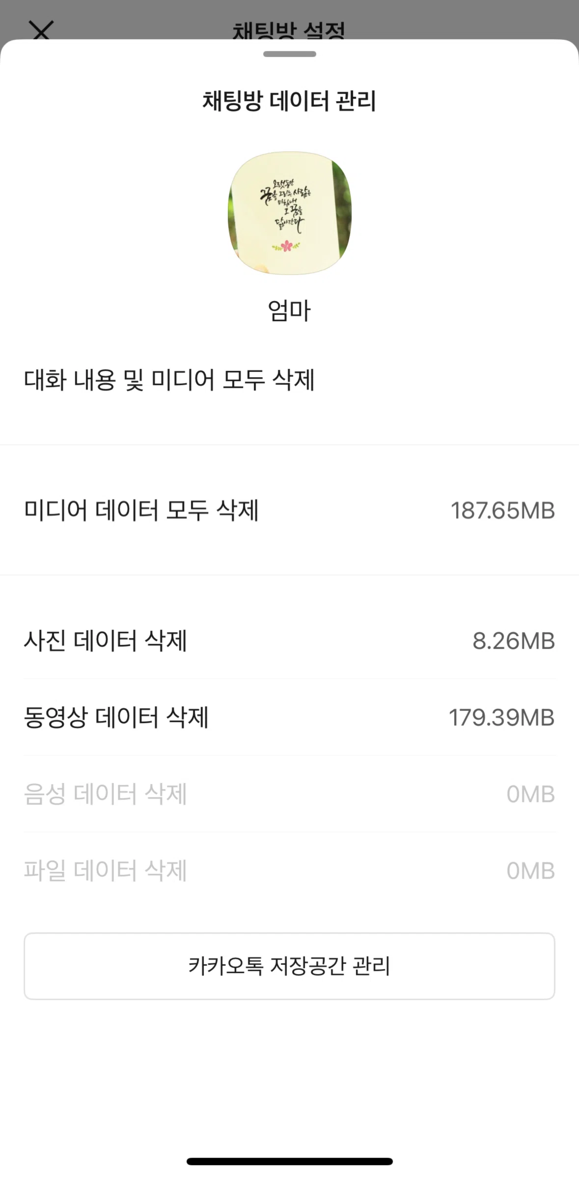 KakaoTalk Screen screen in the Storage management flow