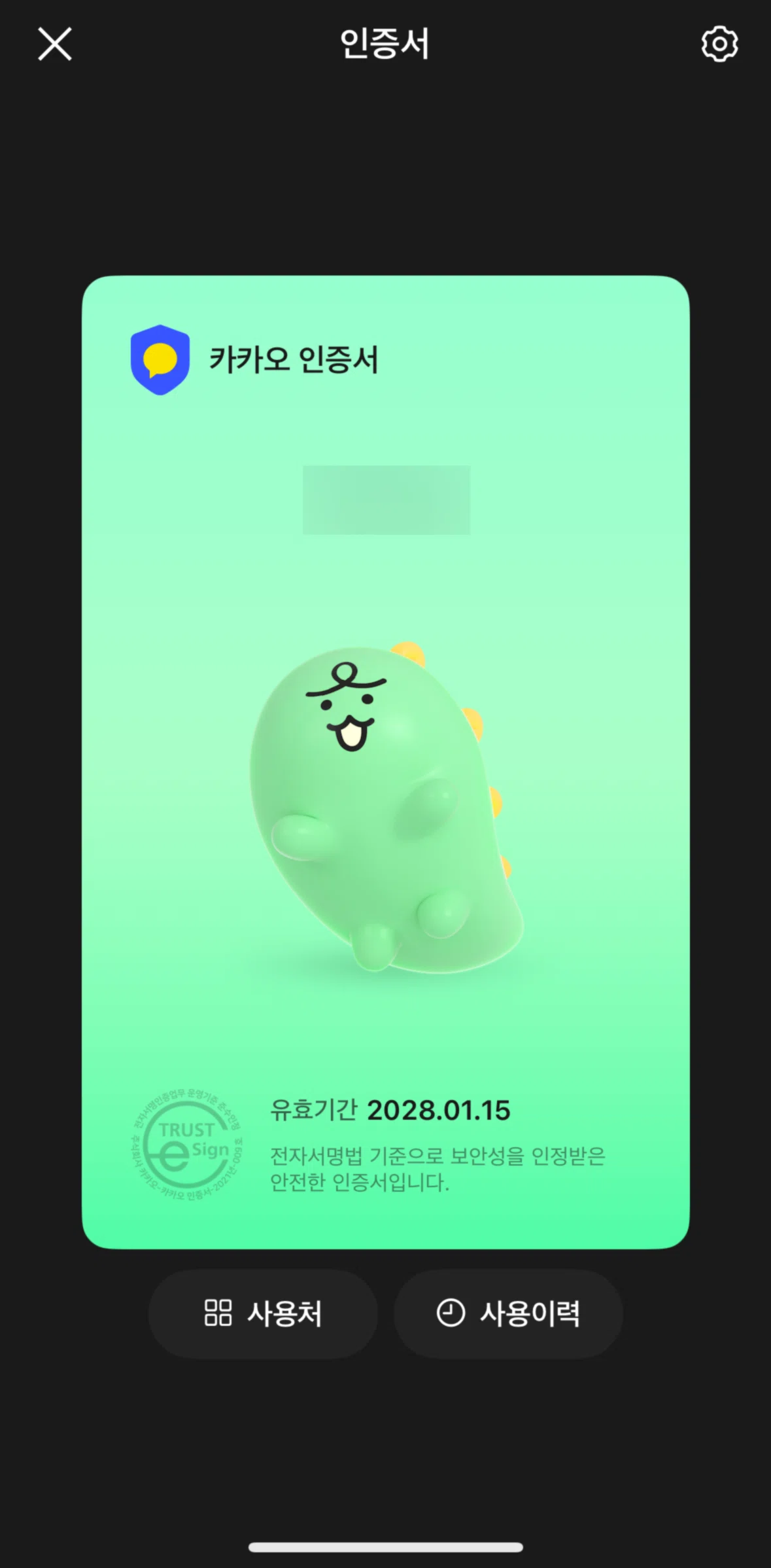 KakaoTalk Screen screen in the Usage history flow