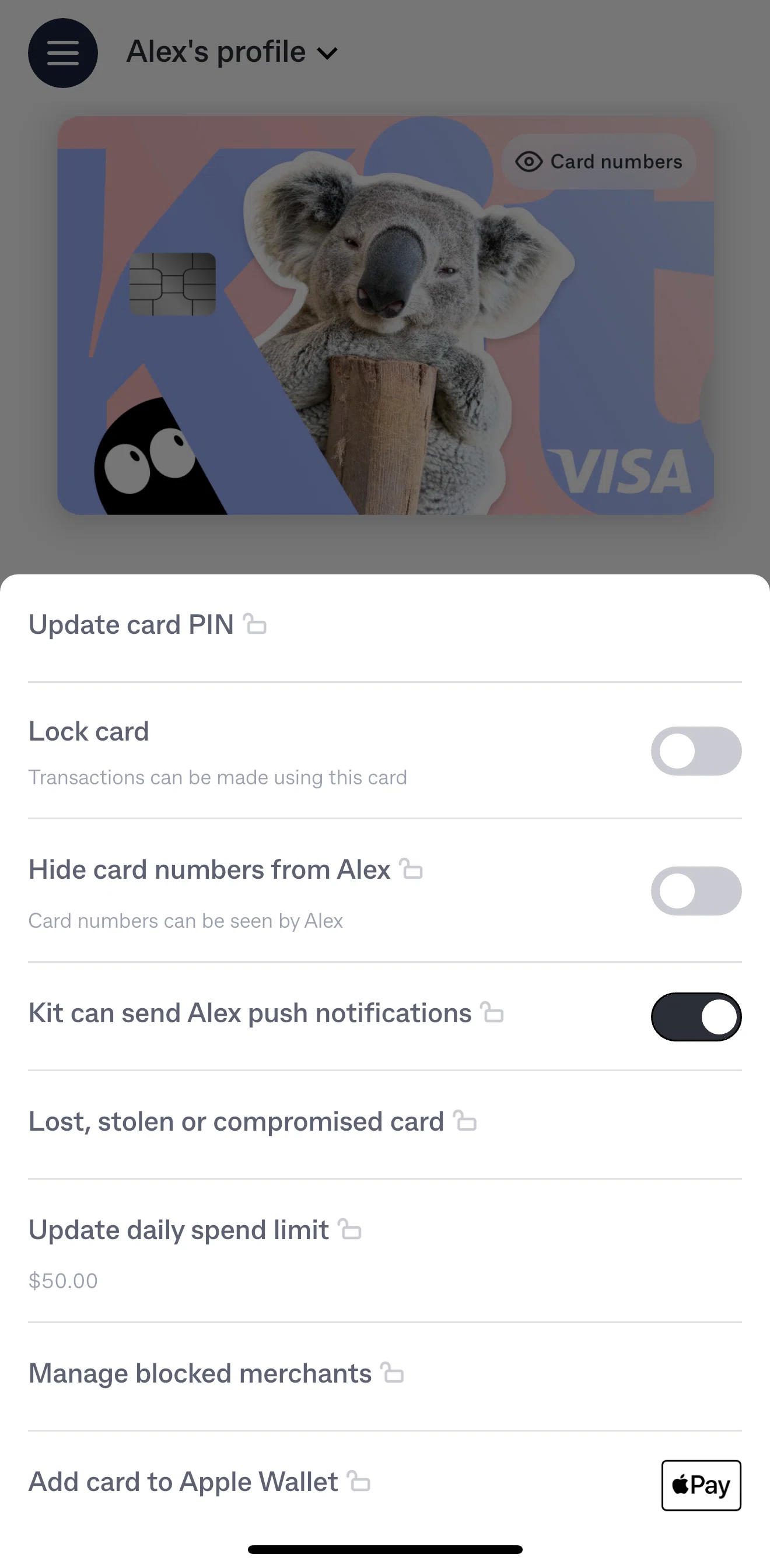 Kit Screen screen in the Update daily spend limit flow