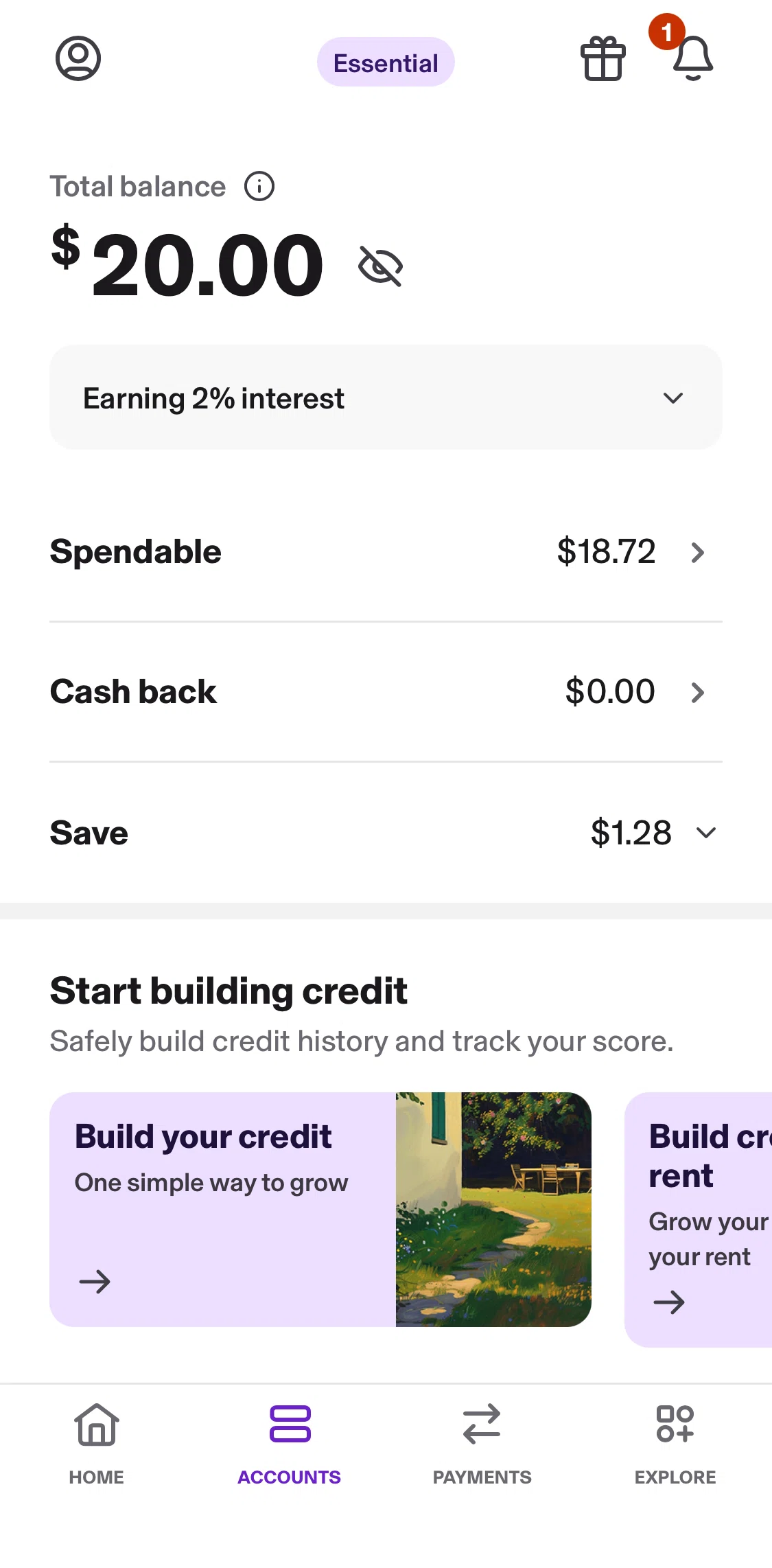 KOHO Screen screen in the Spendable flow