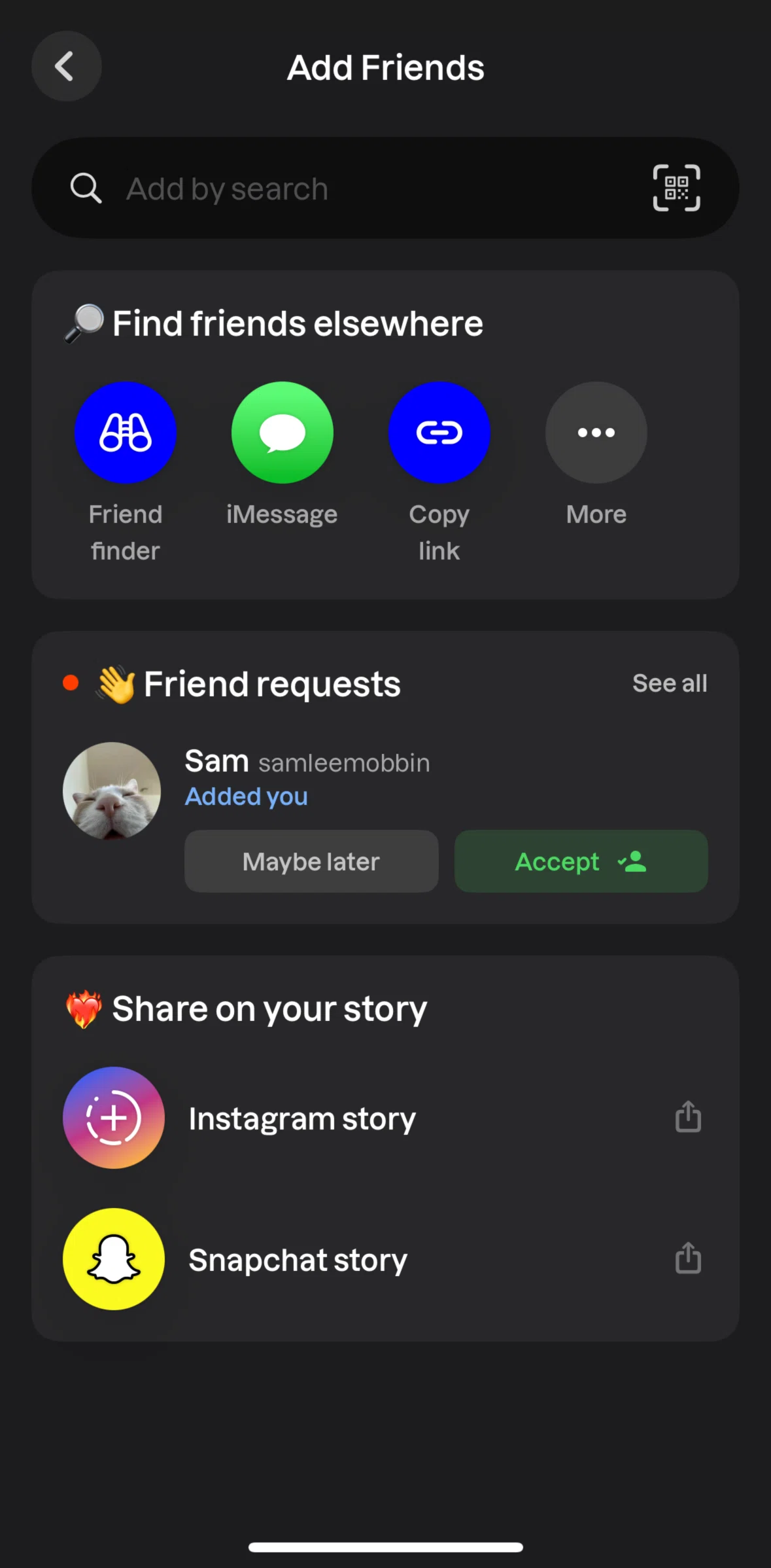 Lapse Screen screen in the Accepting a friend request flow