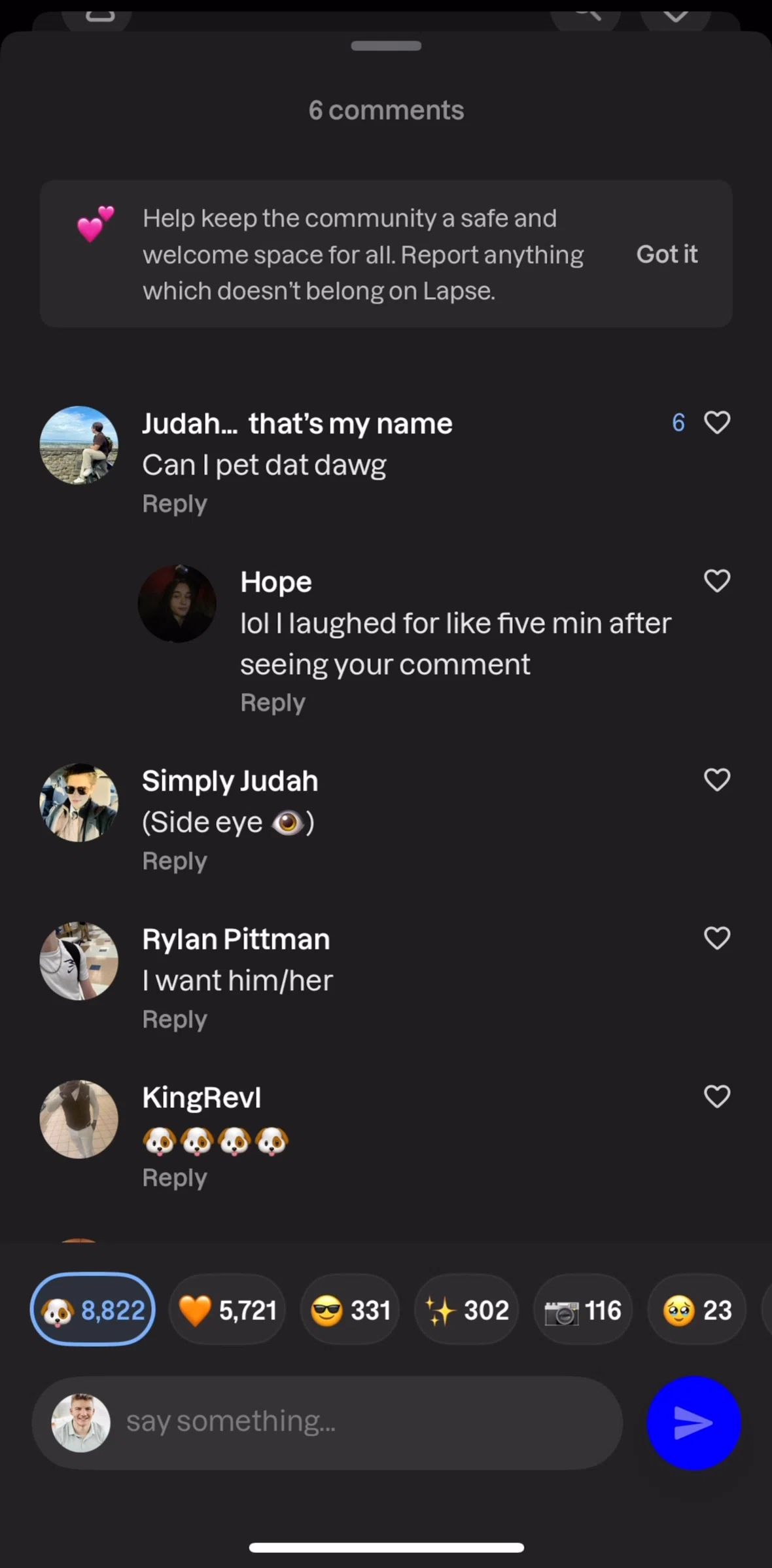 Lapse Screen screen in the Liking a comment flow