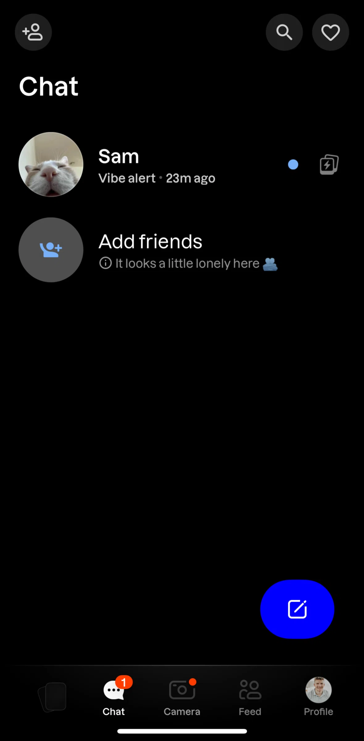 Lapse Screen screen in the Starting a chat flow