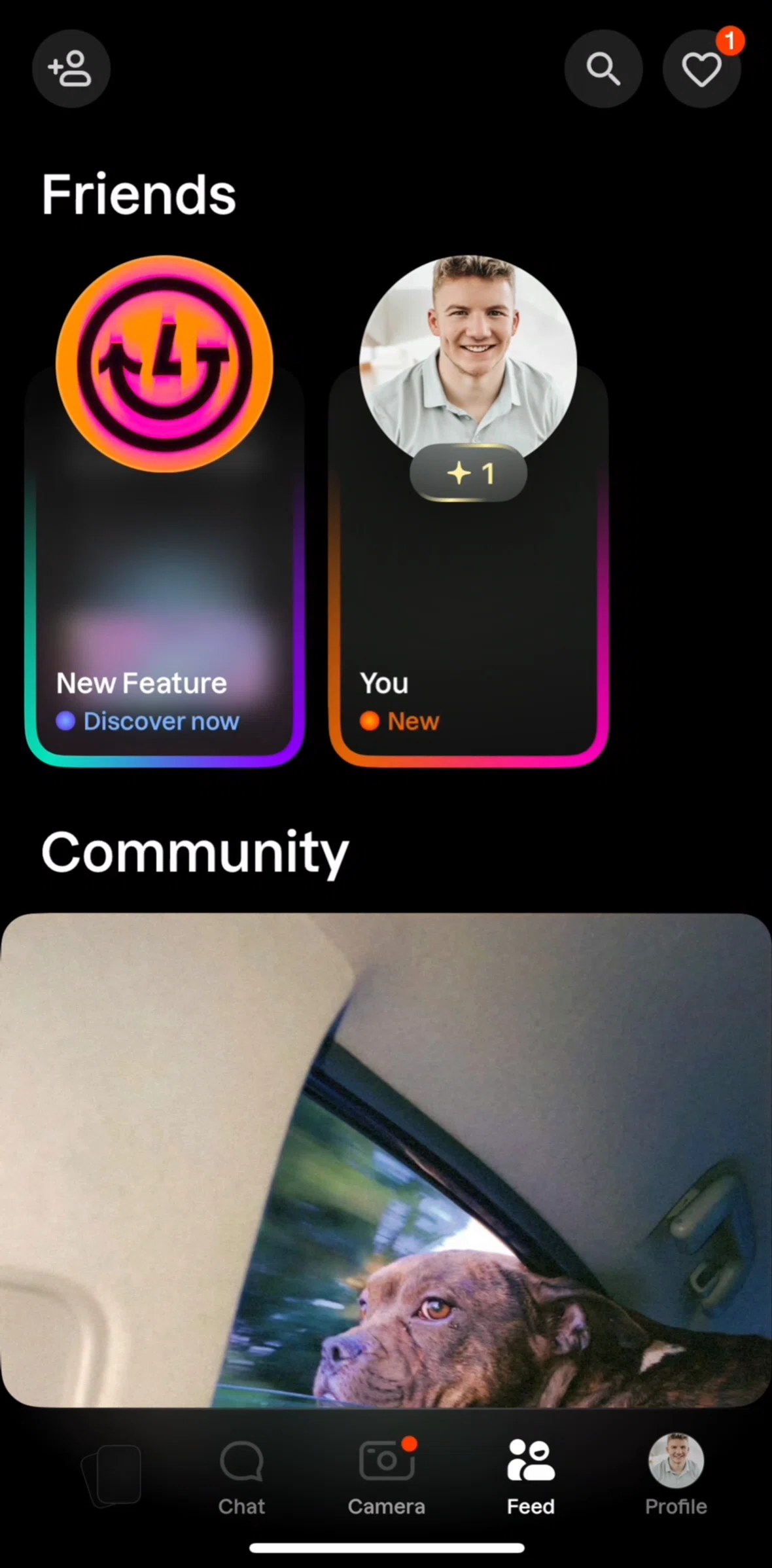 Lapse Screen screen in the Watching a snap flow