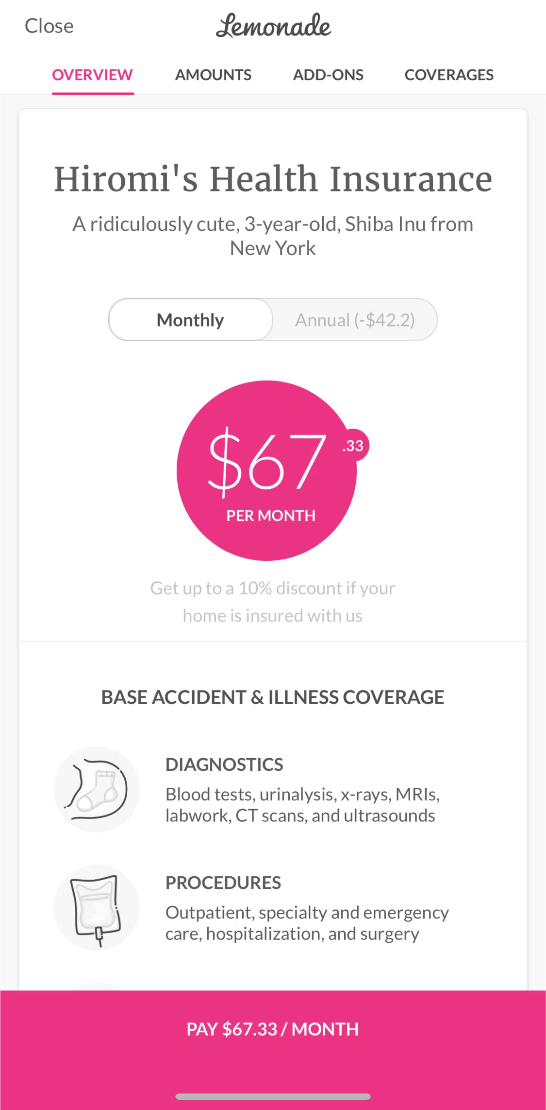 Lemonade Insurance Screen screen in the Pet insurance quote overview flow