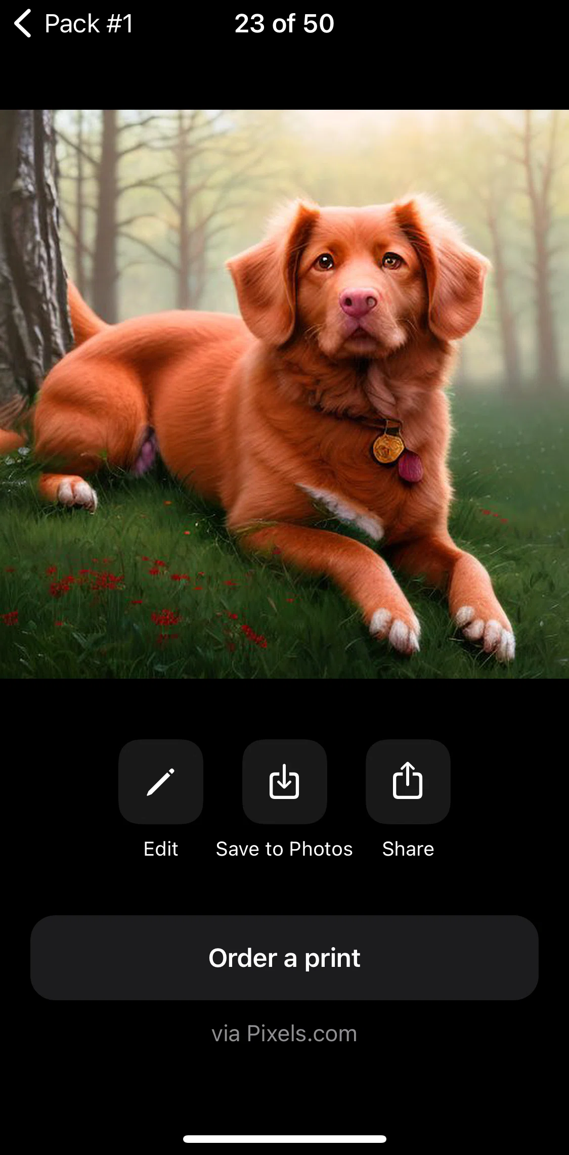 Lensa AI Screen screen in the Saving to photos flow
