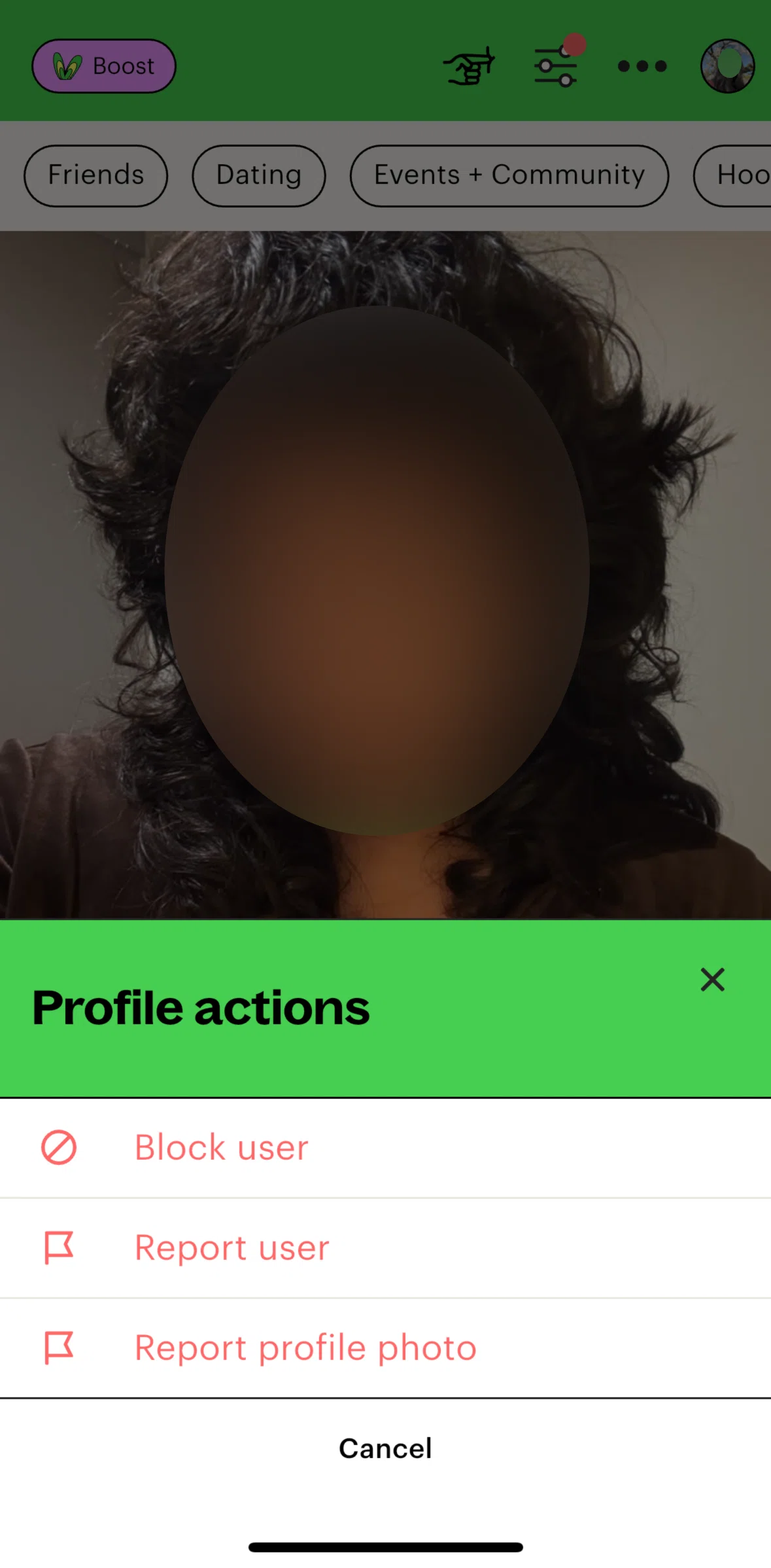 Lex Screen screen in the Reporting a profile photo flow