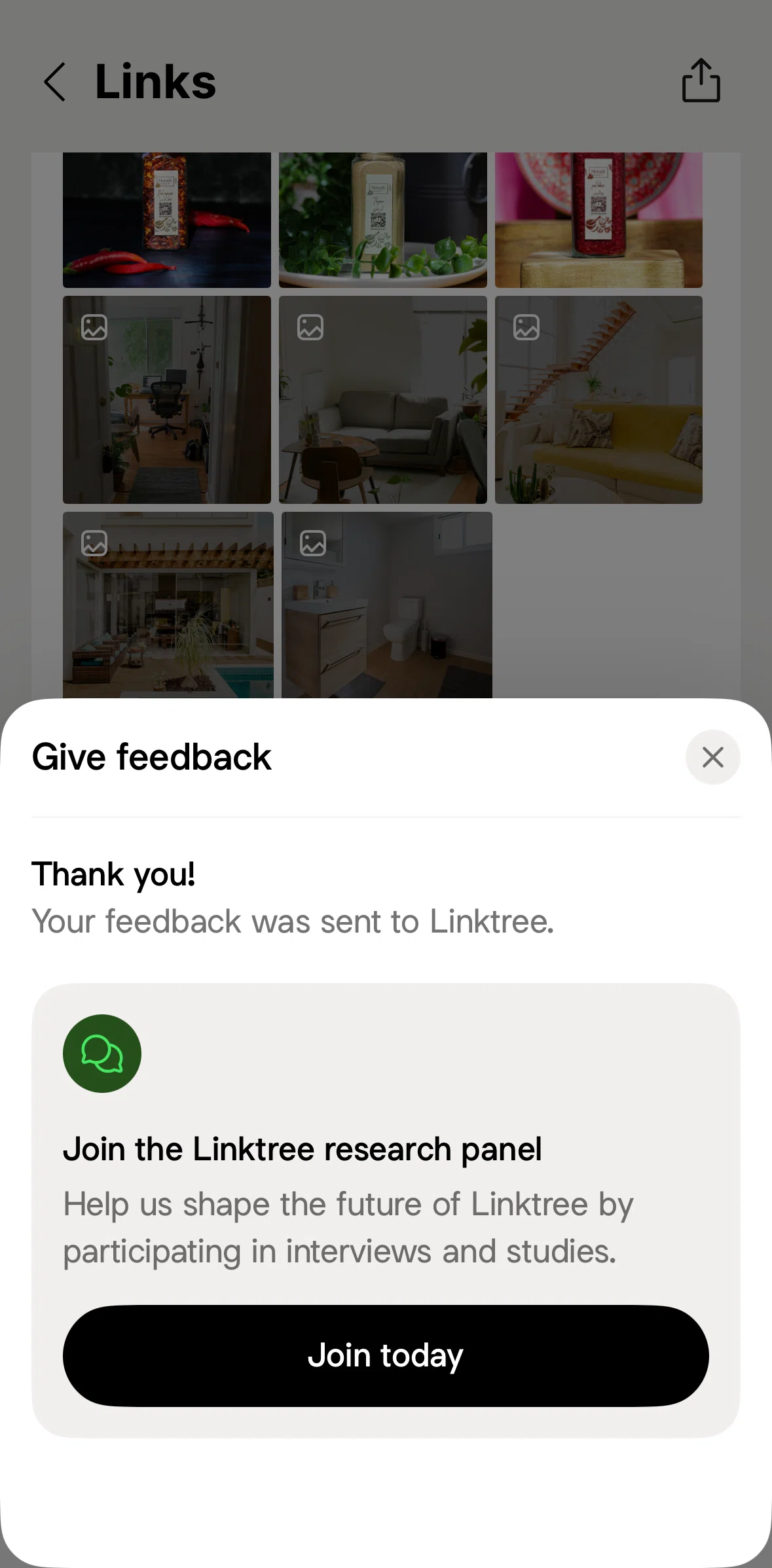 Linktree Screen screen in the Joining Linktree research panel flow