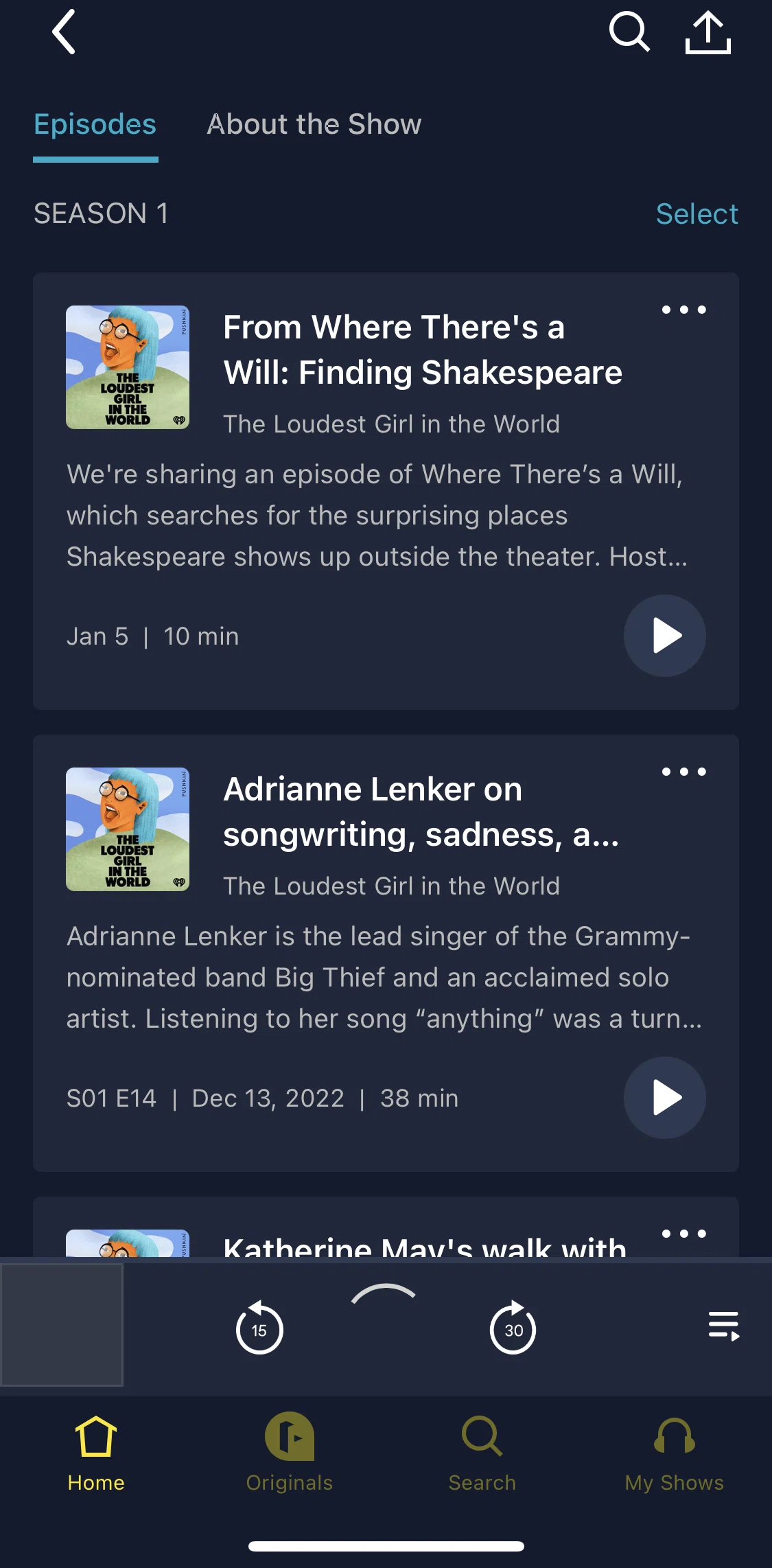 Luminary Screen screen in the Playing an episode flow