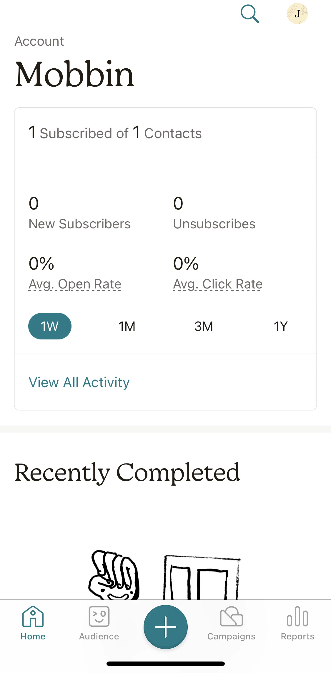 Mailchimp Screen screen in the Home flow