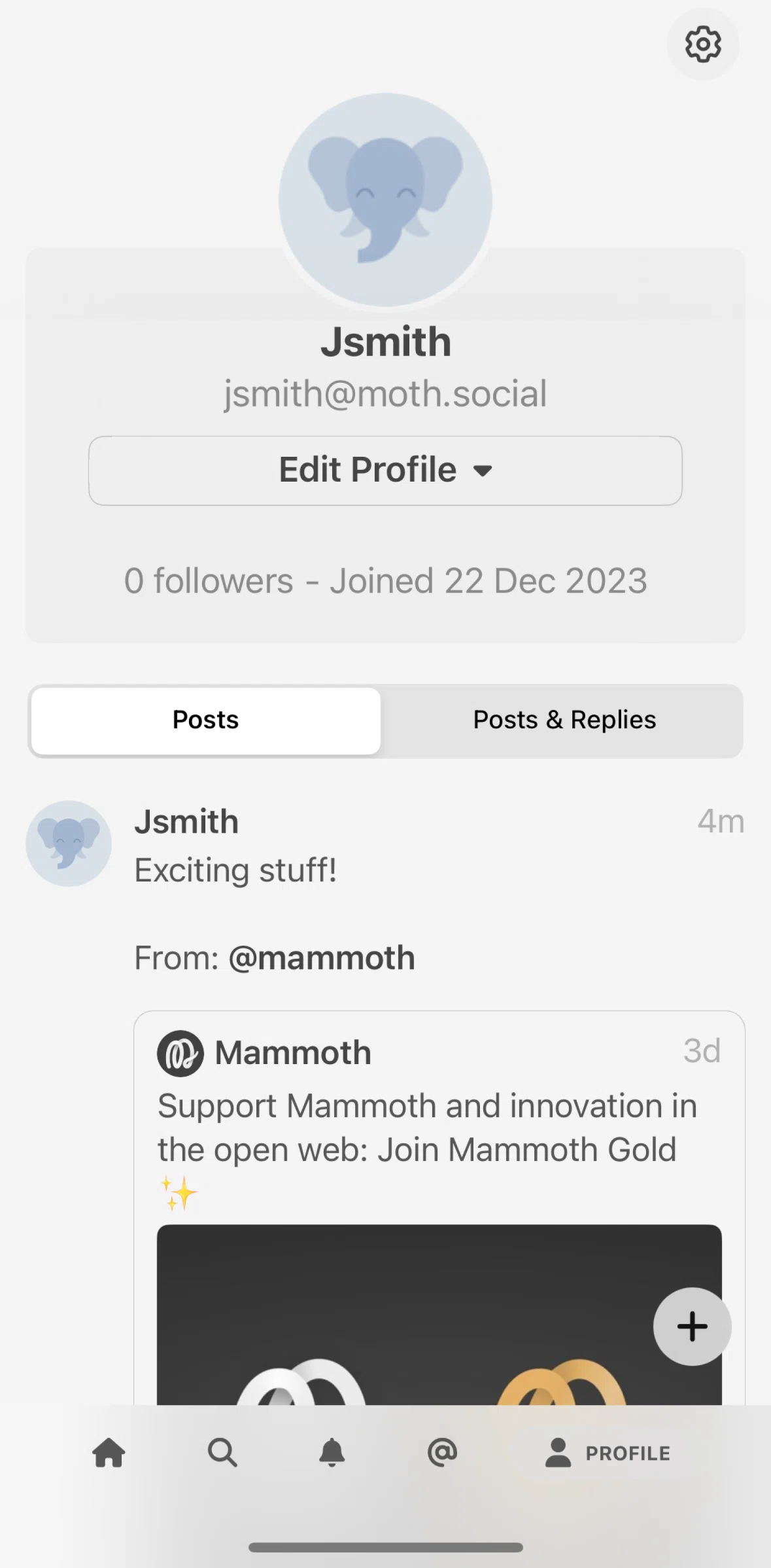 Mammoth Screen screen in the Editing my avatar flow