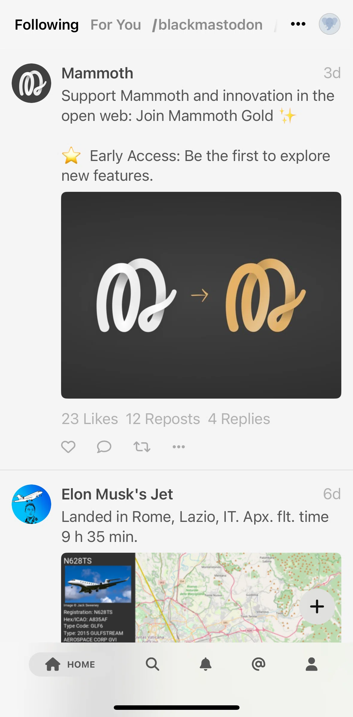 Mammoth Screen screen in the Mentions flow