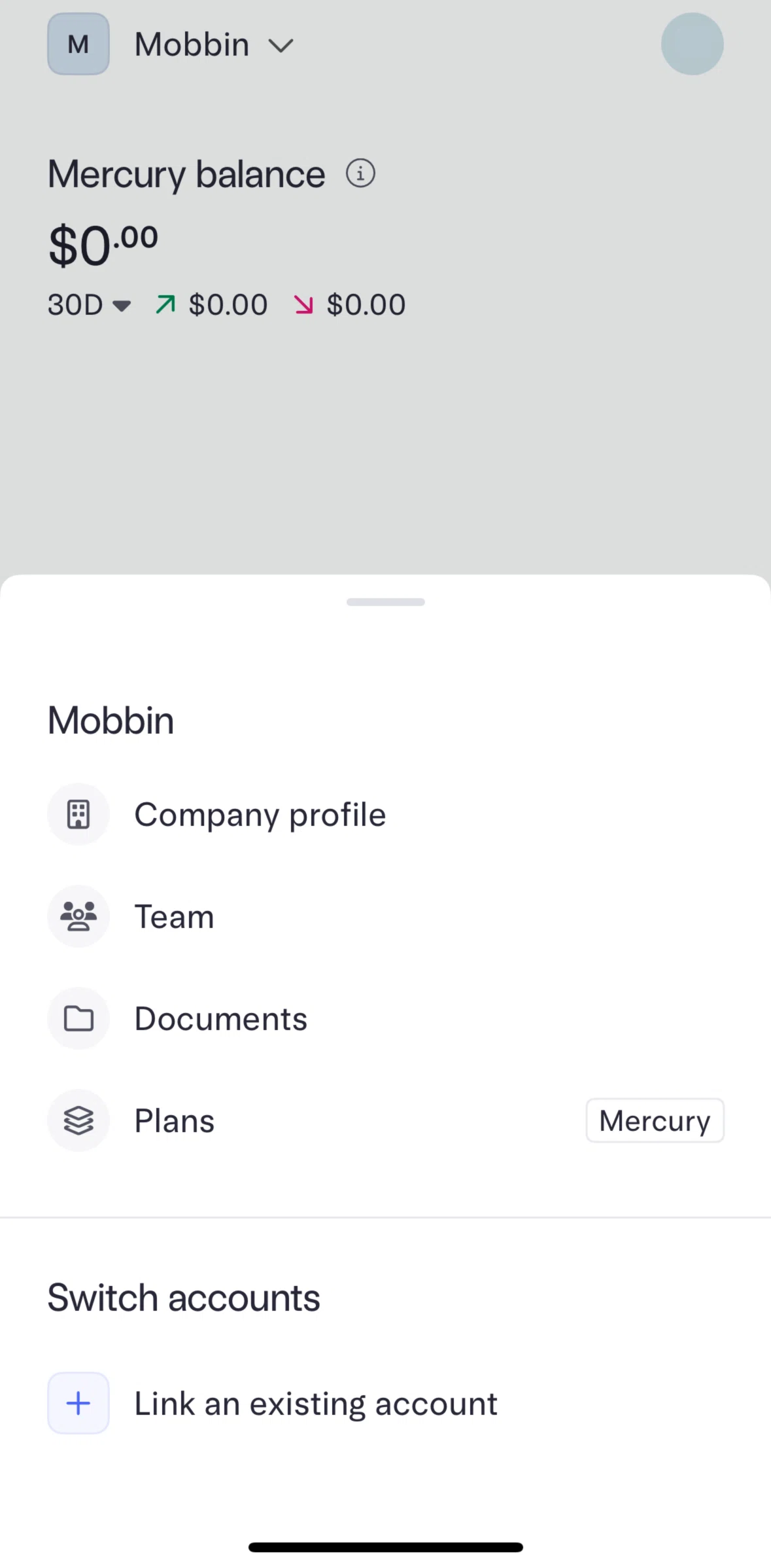 Mercury Screen screen in the Team flow